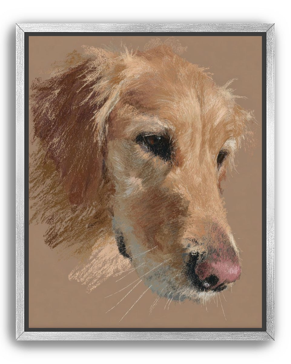 Warm browns on a golden retriever