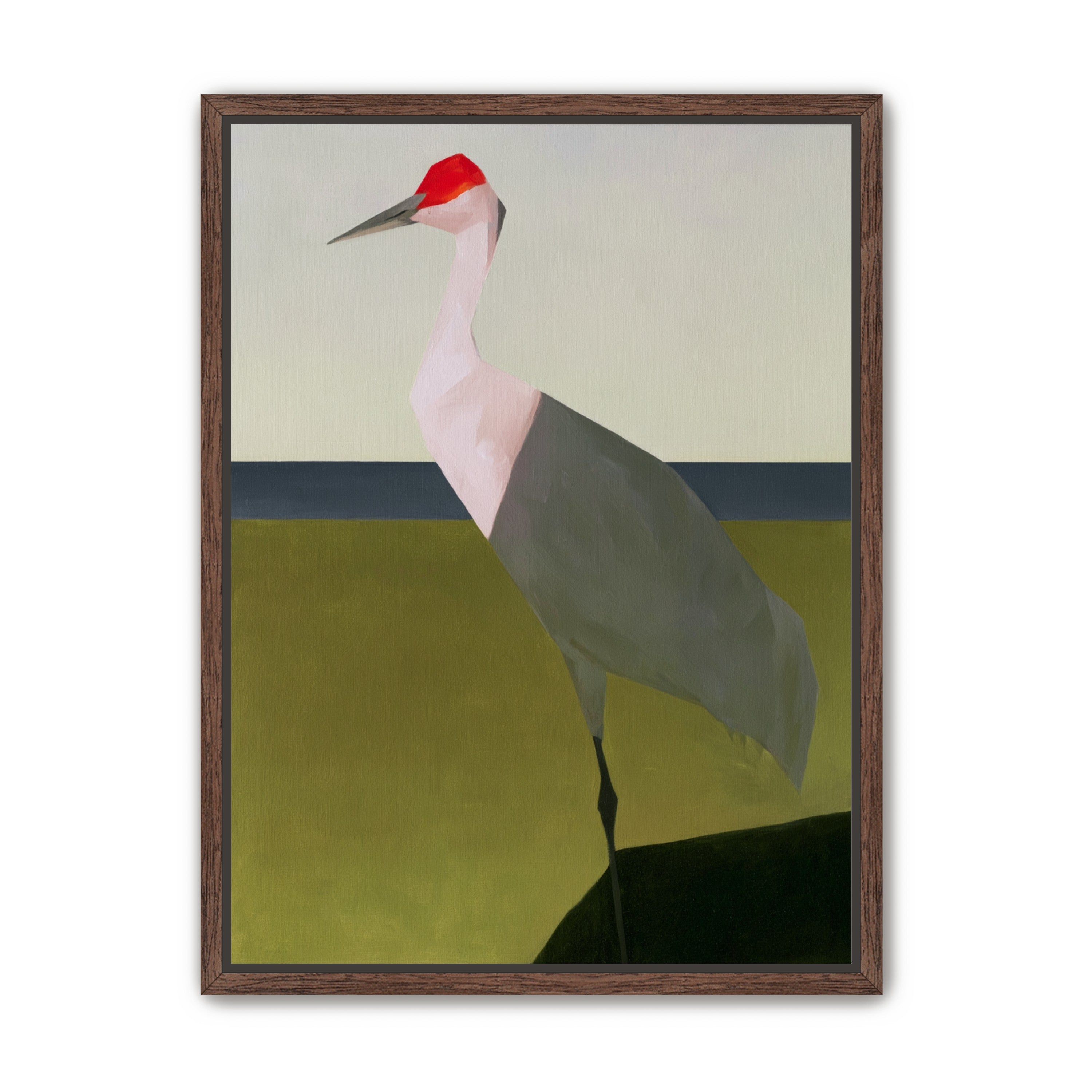 Red crown crane at the shore