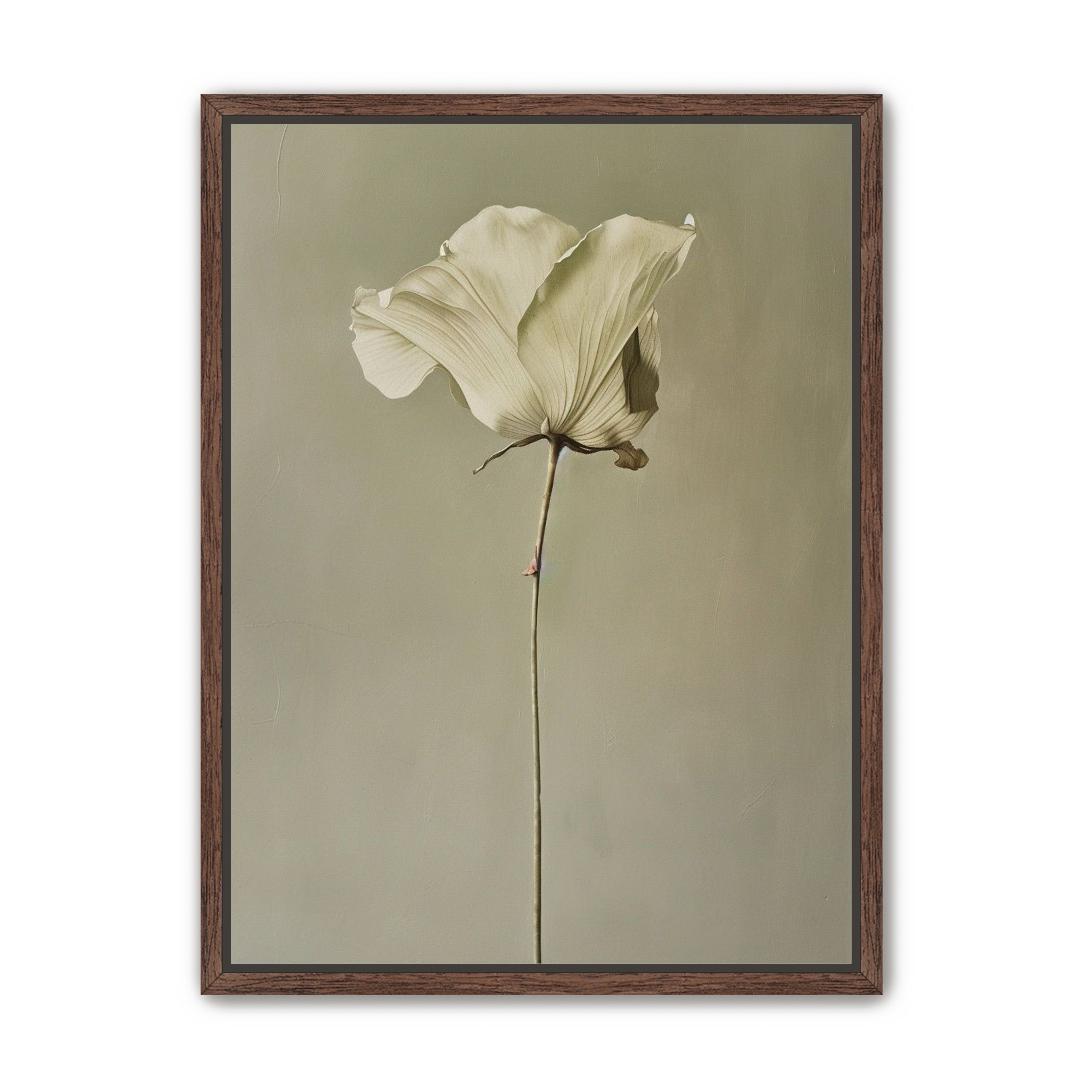 One flower and its hush
