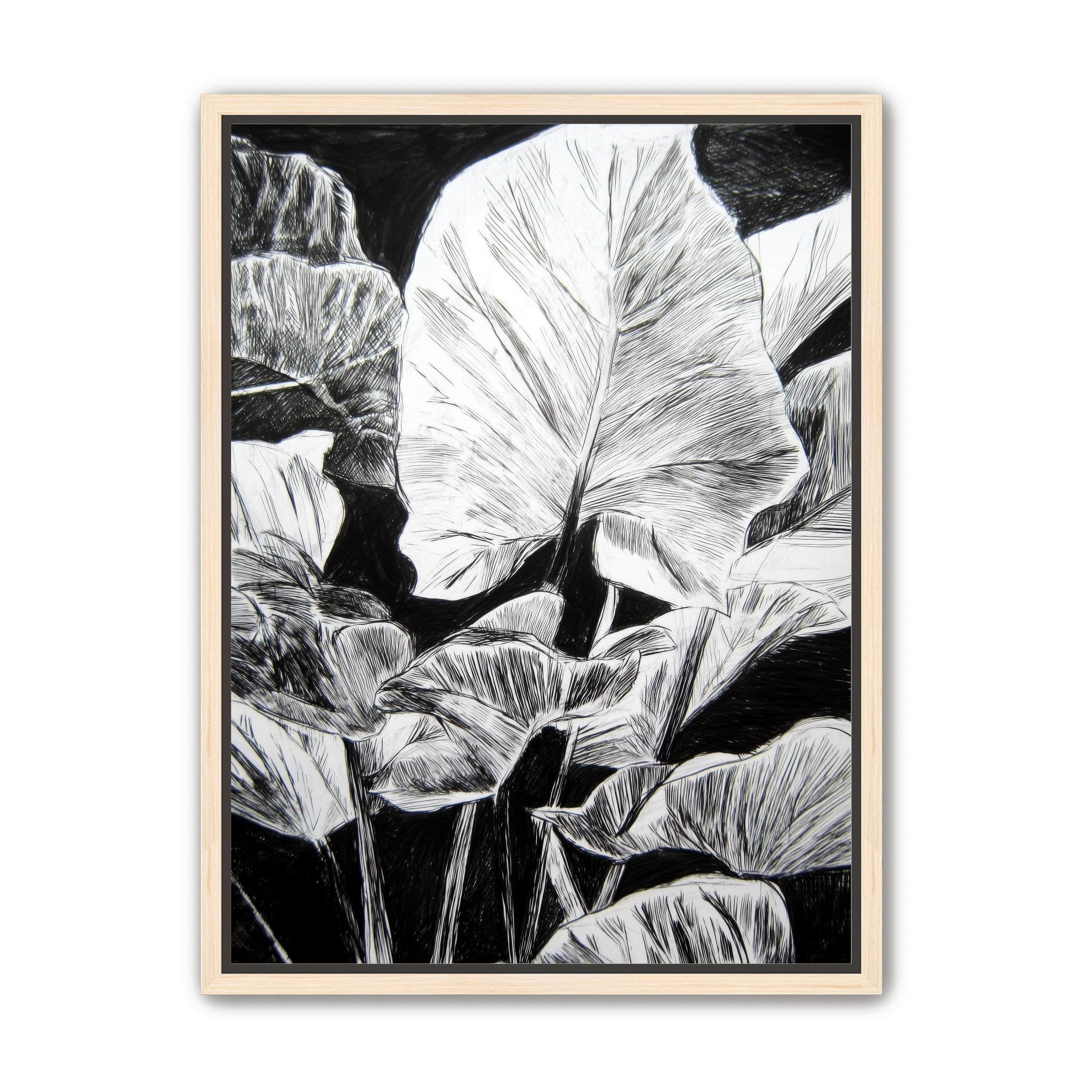 A Cluster of Leaves