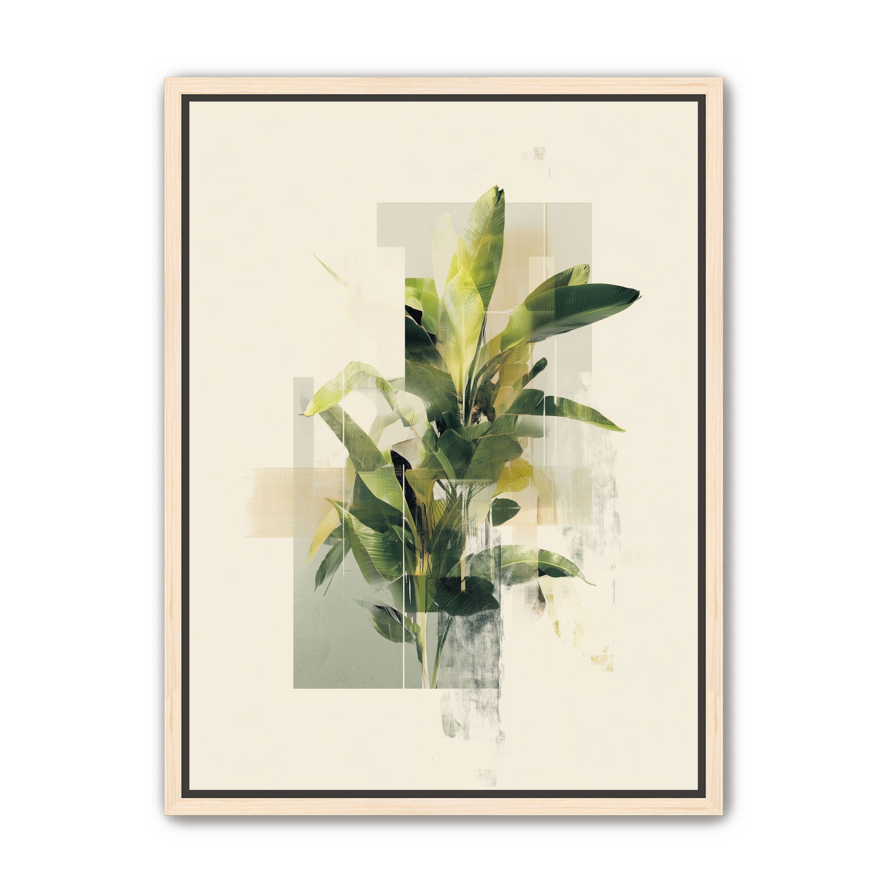 Plant in layered light