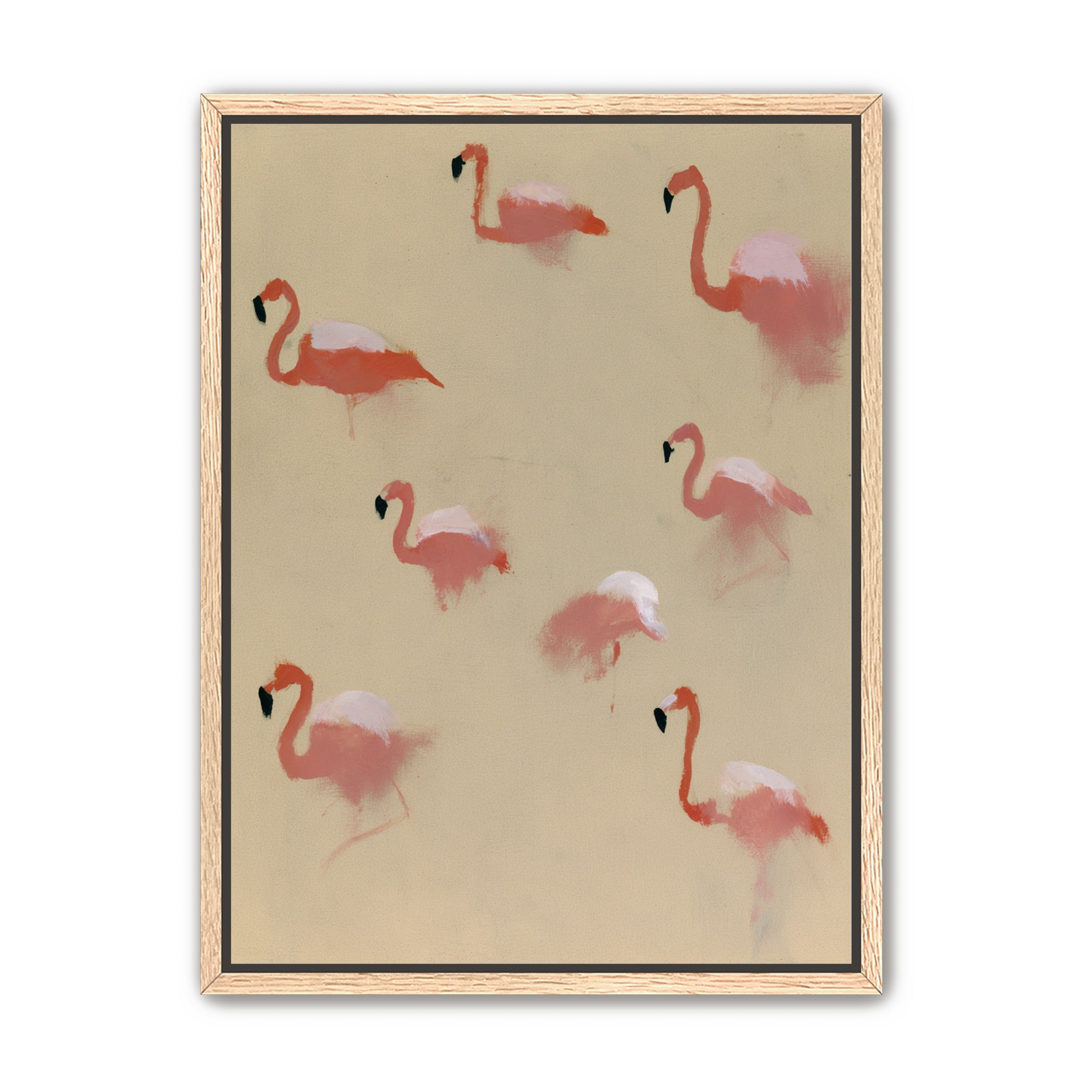 Flamingos in quiet drift