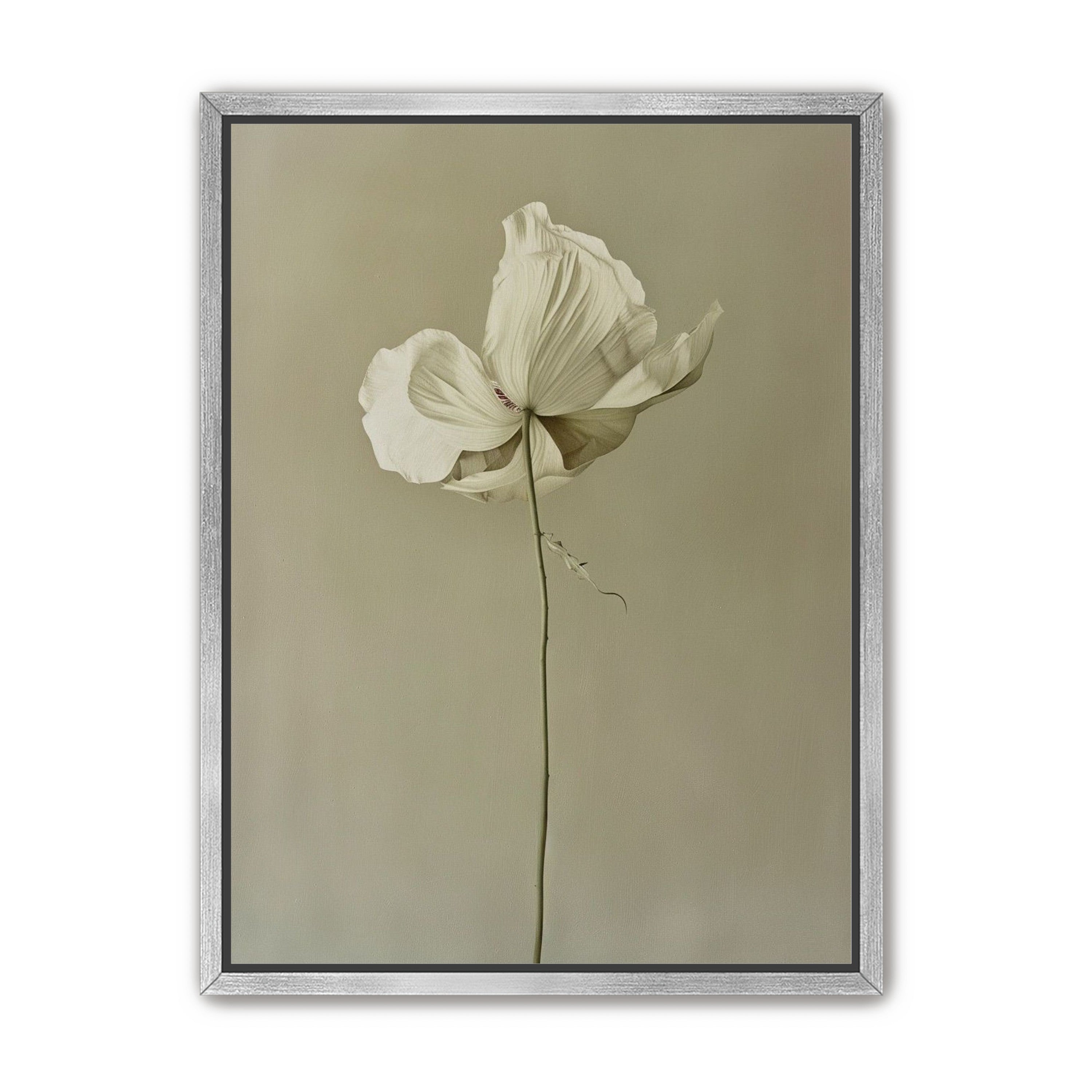Ivory bloom in gray air