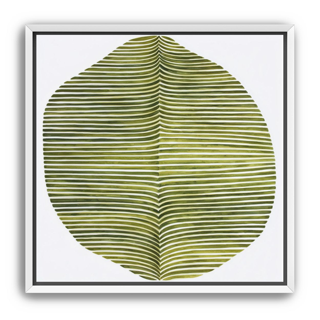 Dark green stripes crease inward