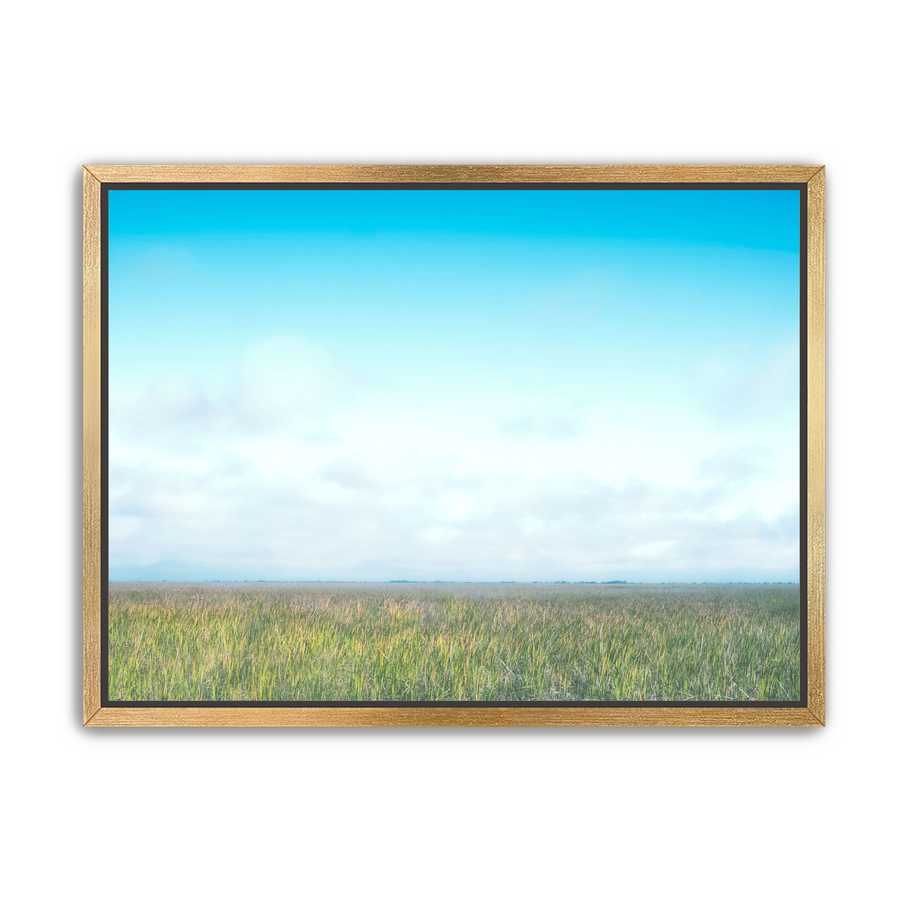 Grasslands