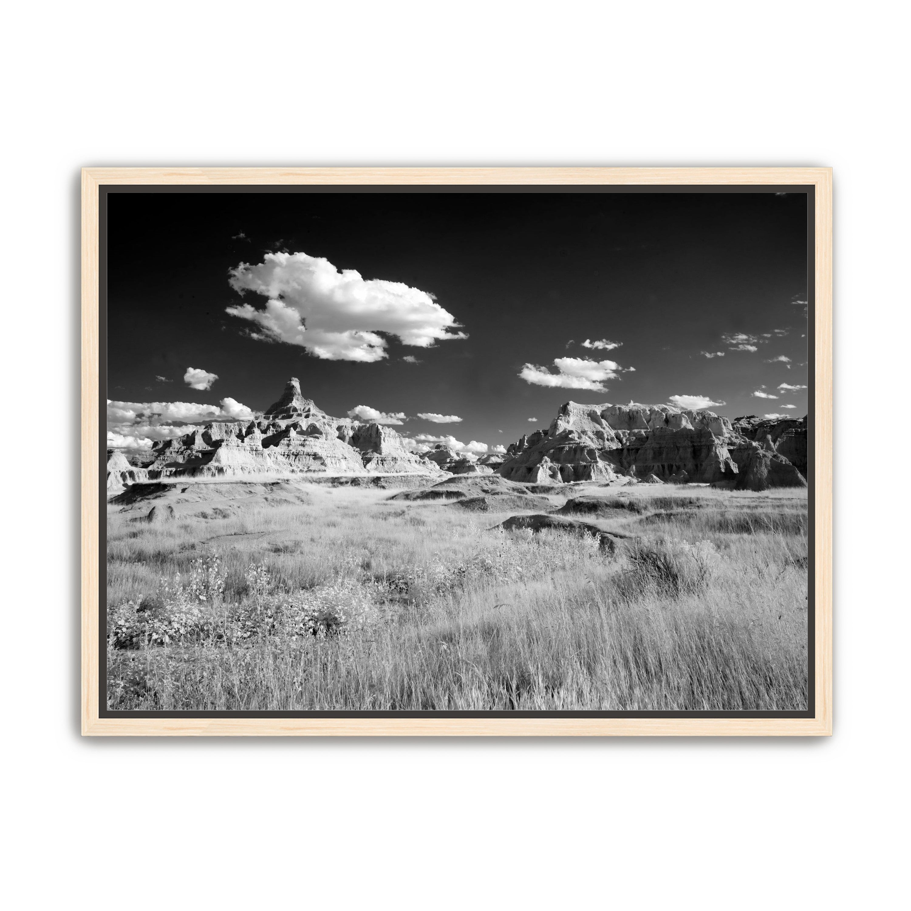 Badlands in Monochrome