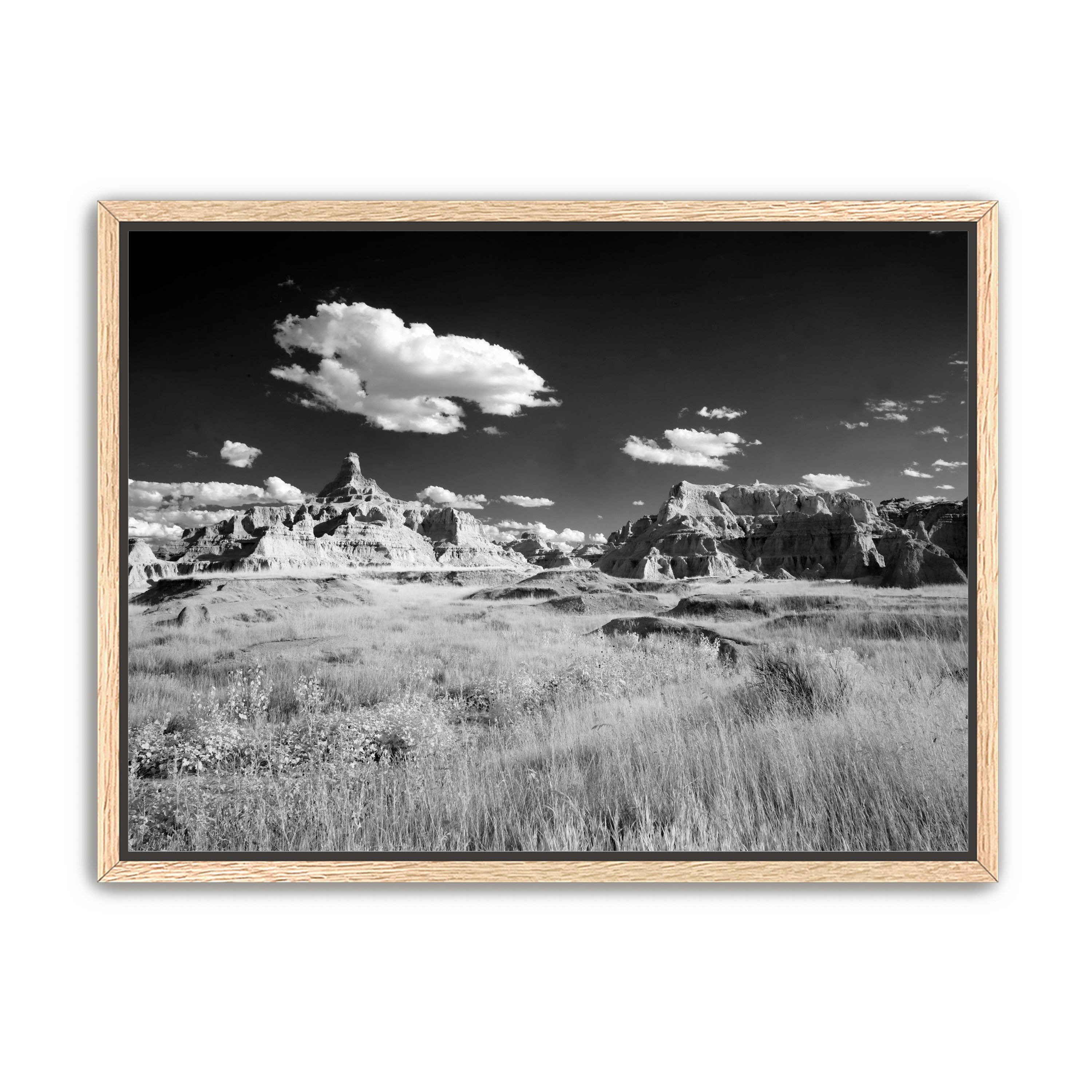 Badlands in Monochrome