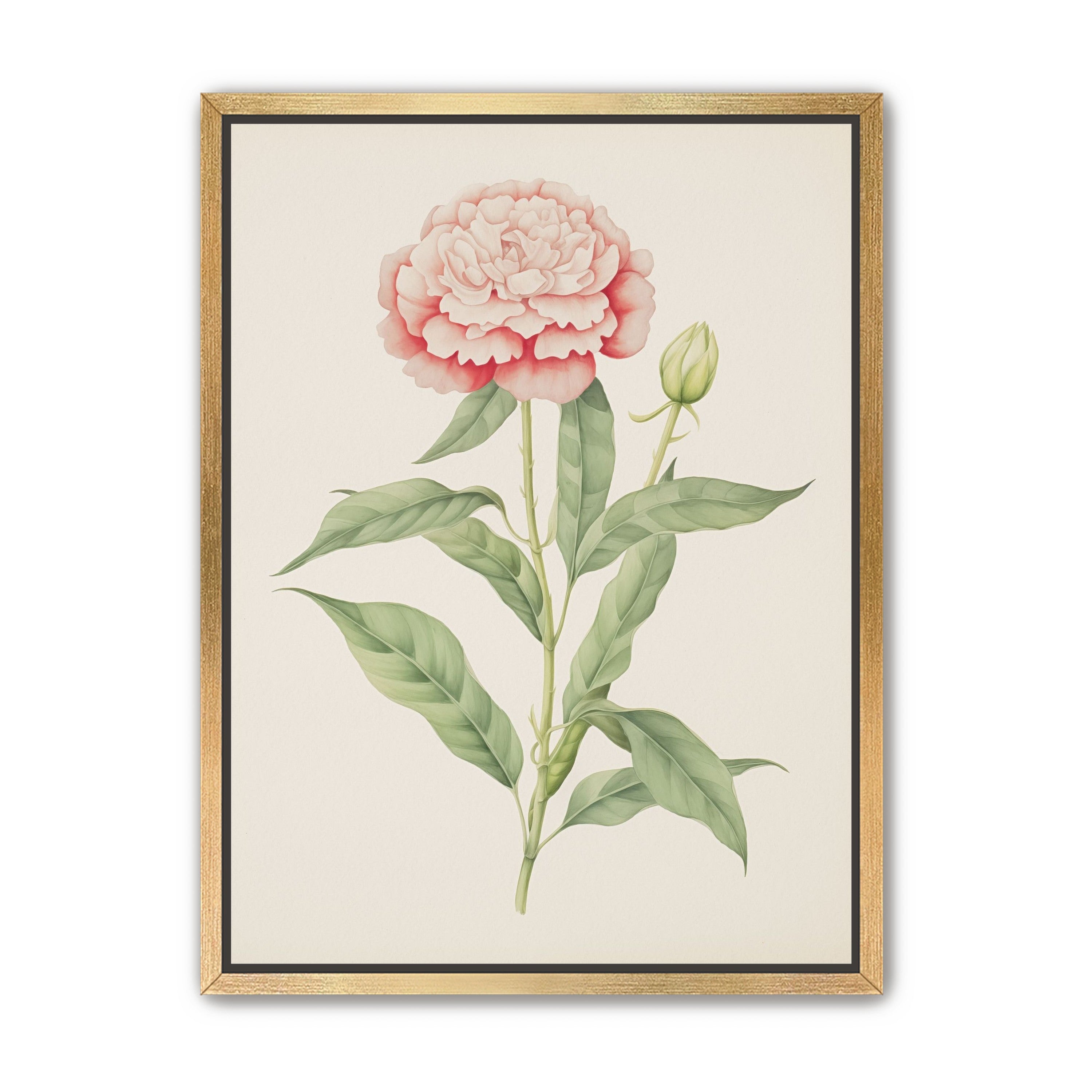 Delicate Blush