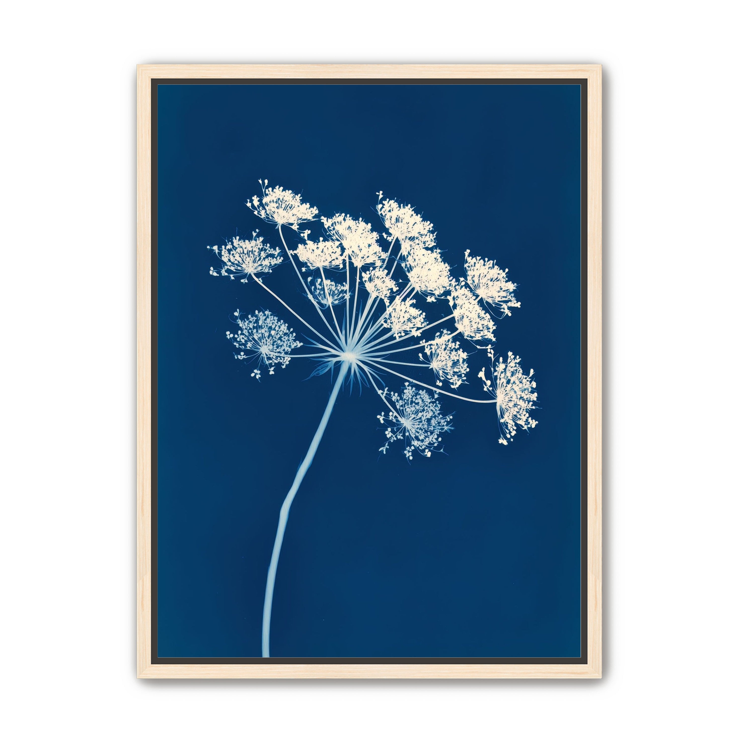 Midnight Bloom