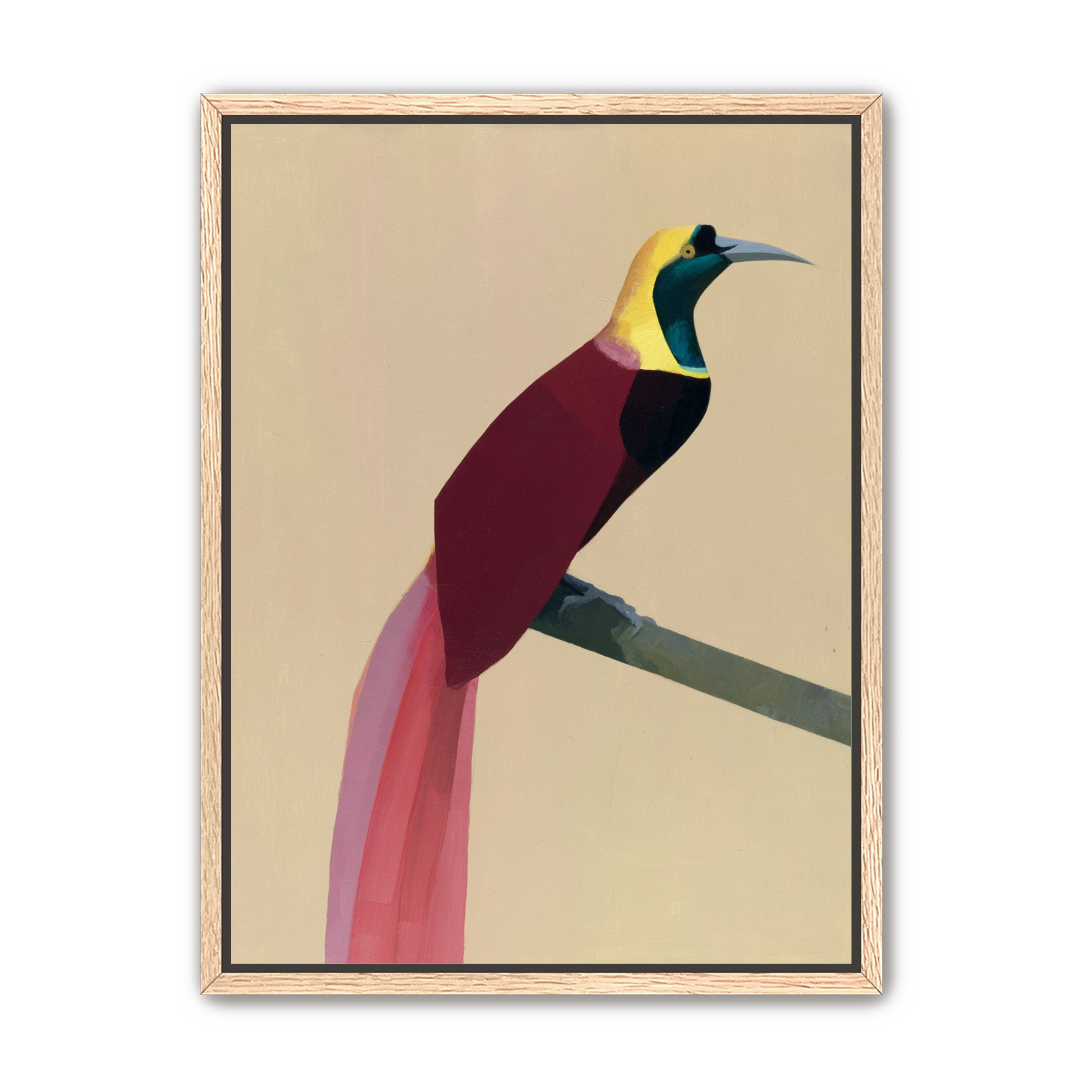 A bright bird on a branch