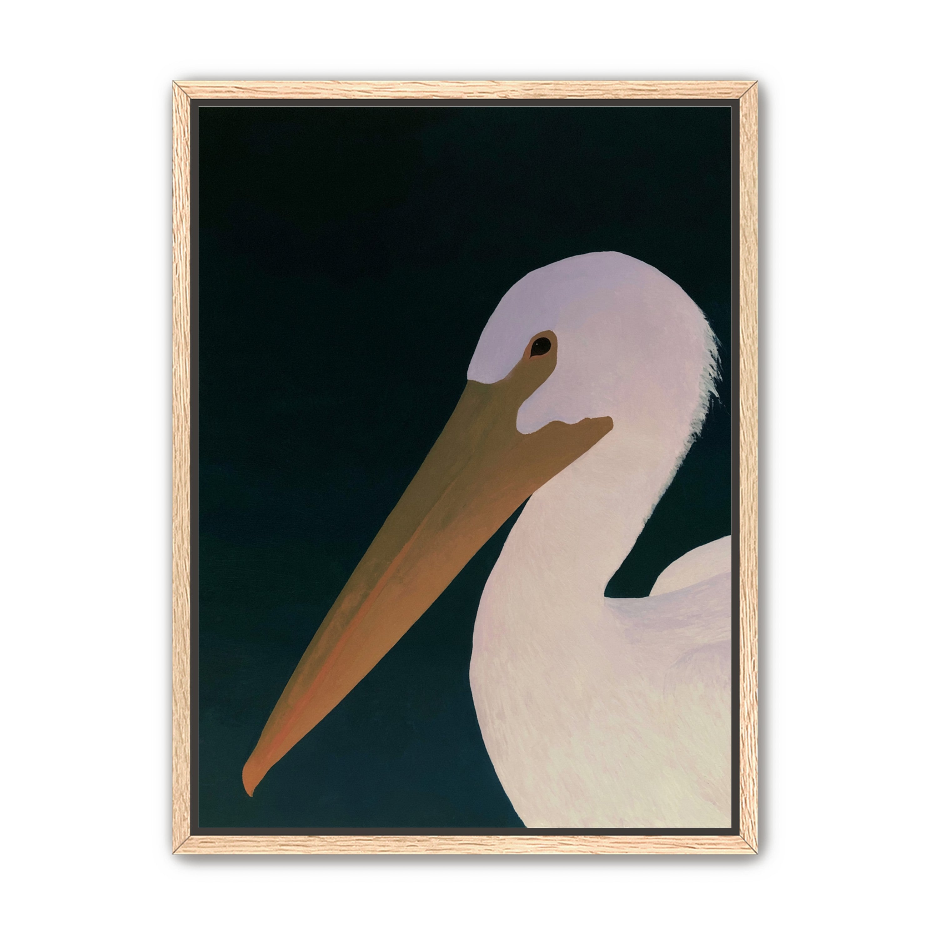 White pelican in stillness