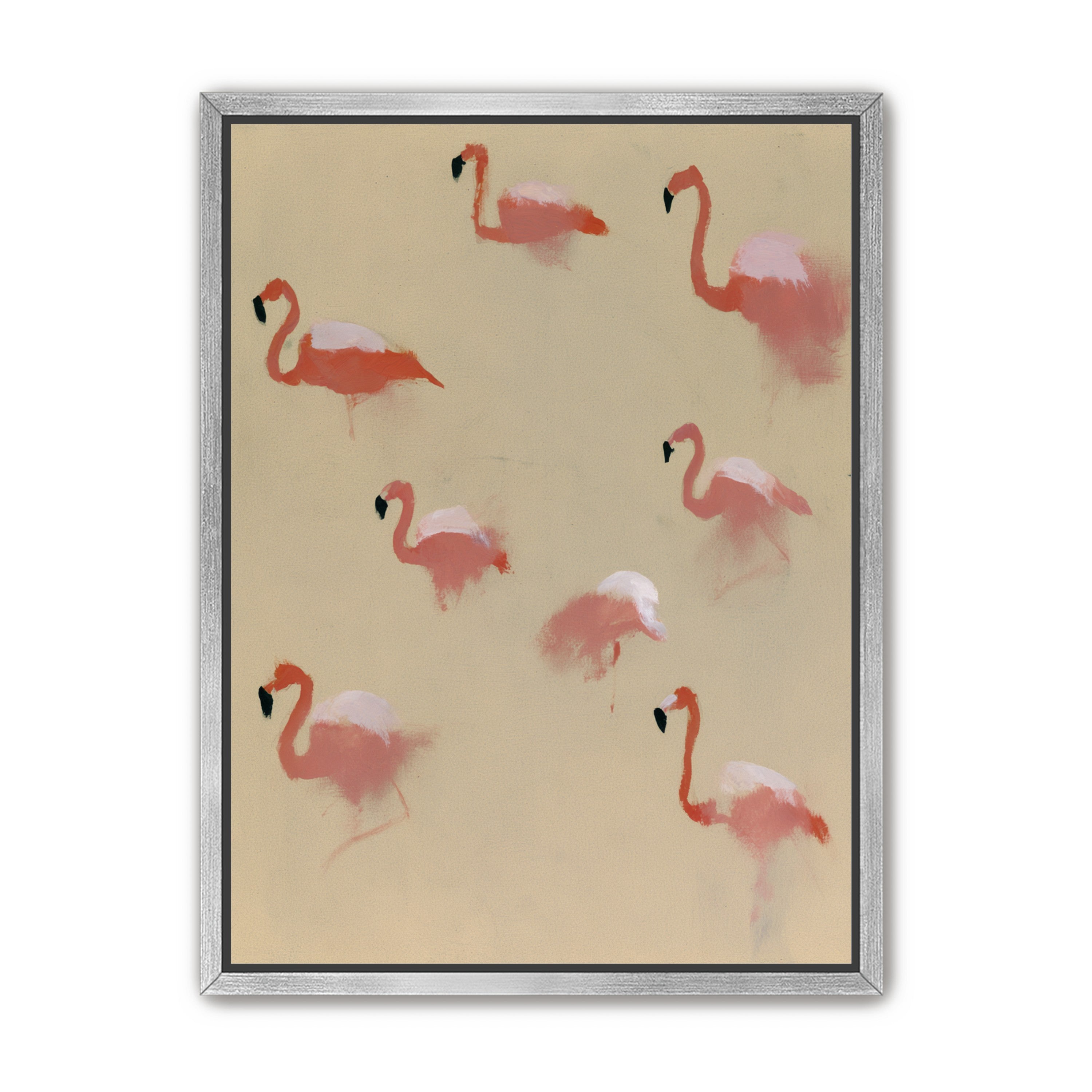 Flamingos in quiet drift