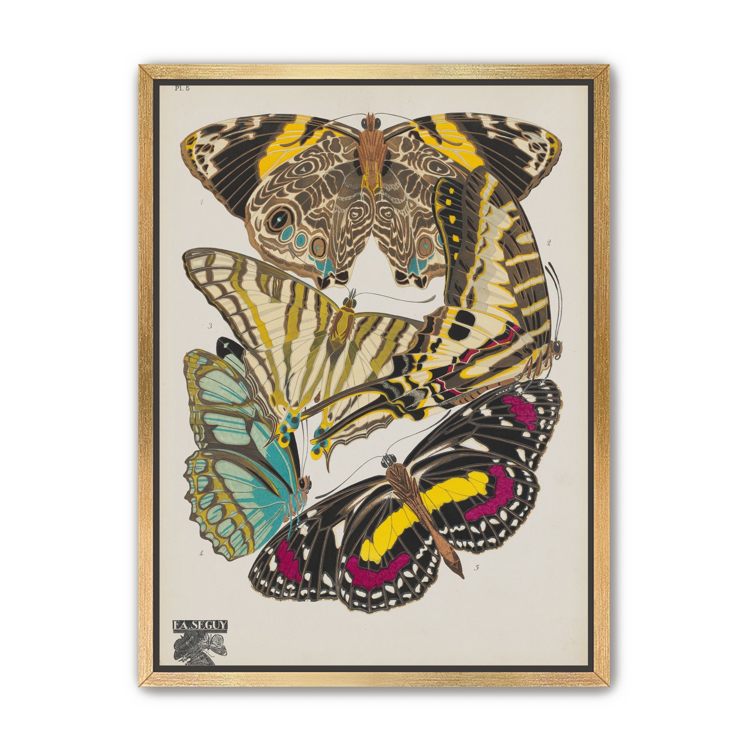 Butterflies among blank paper