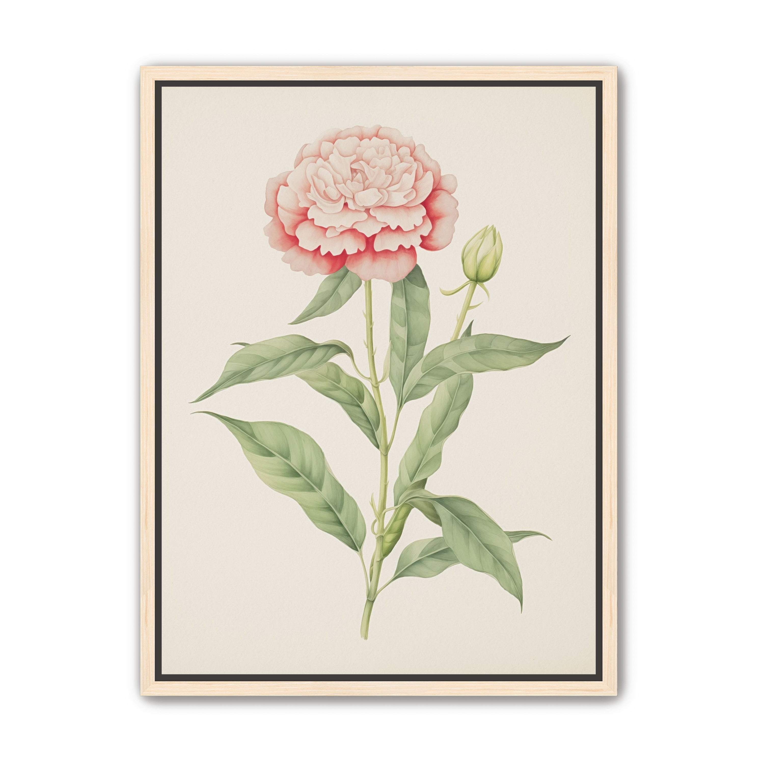 Delicate Blush