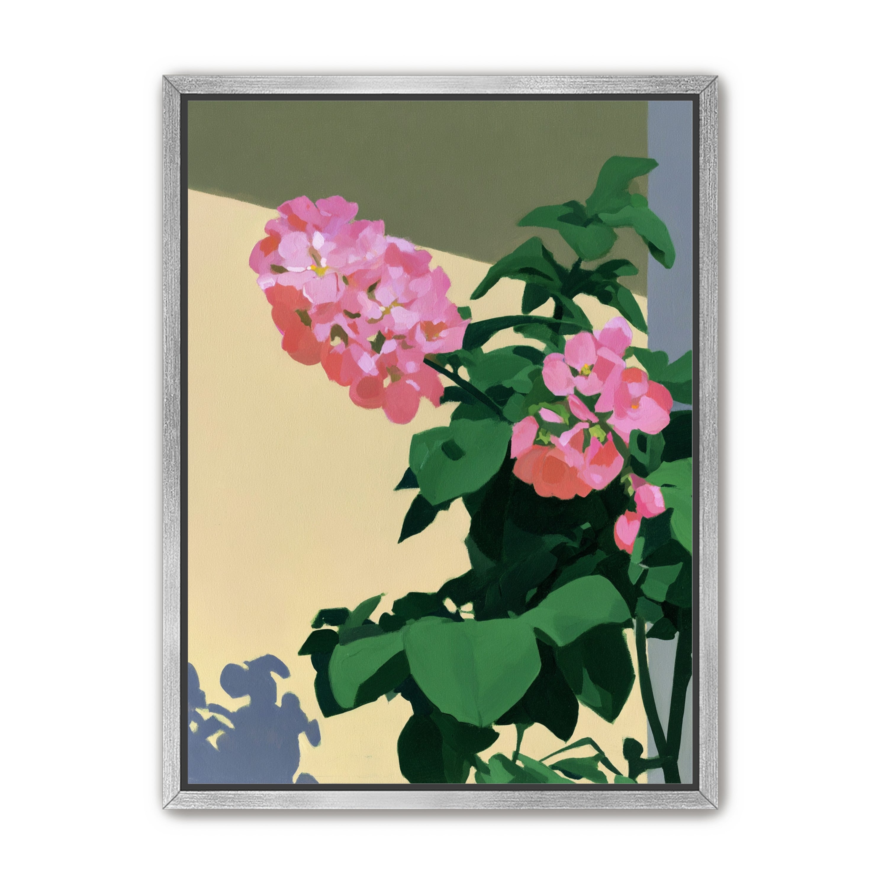 Pink blooms in hard light