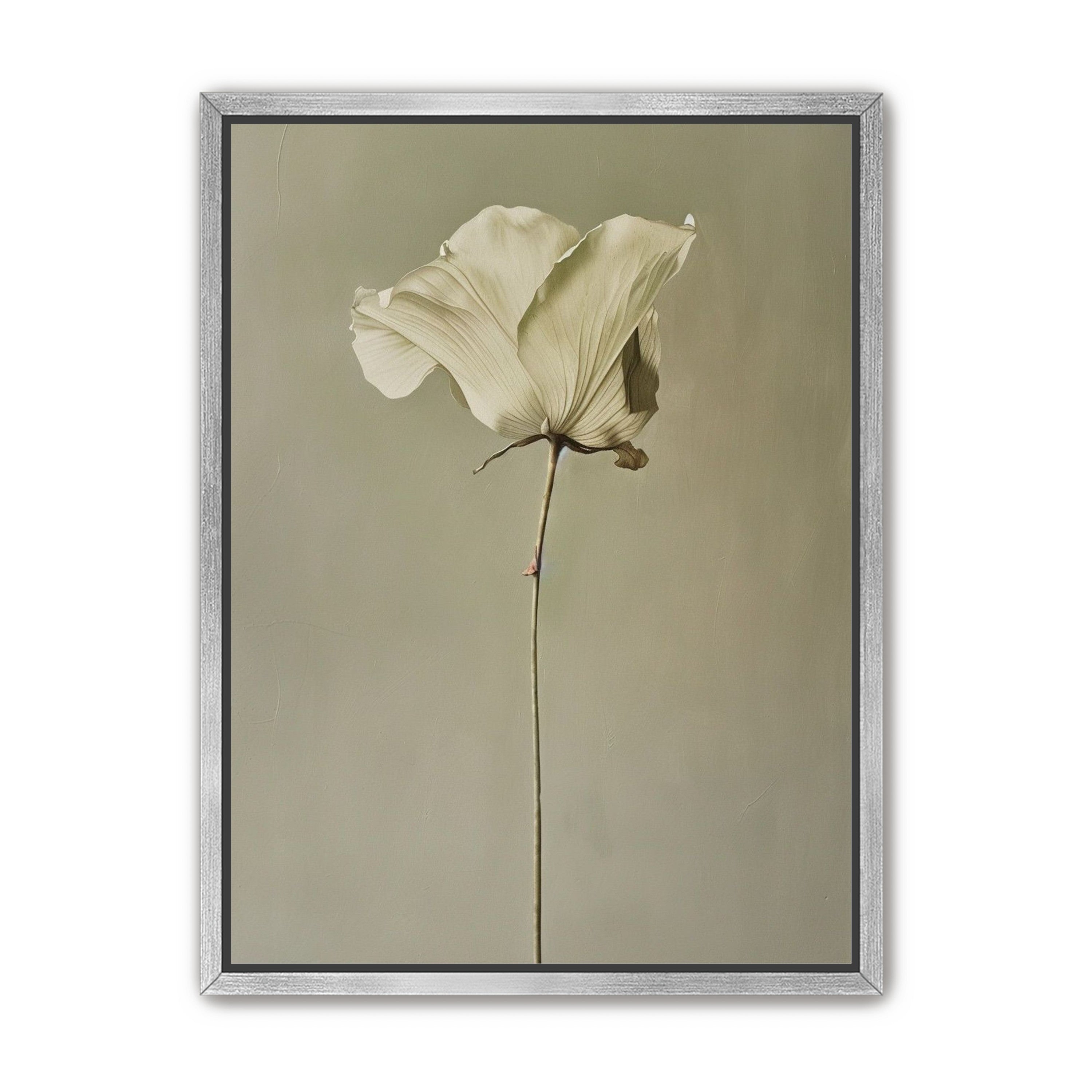 One flower and its hush