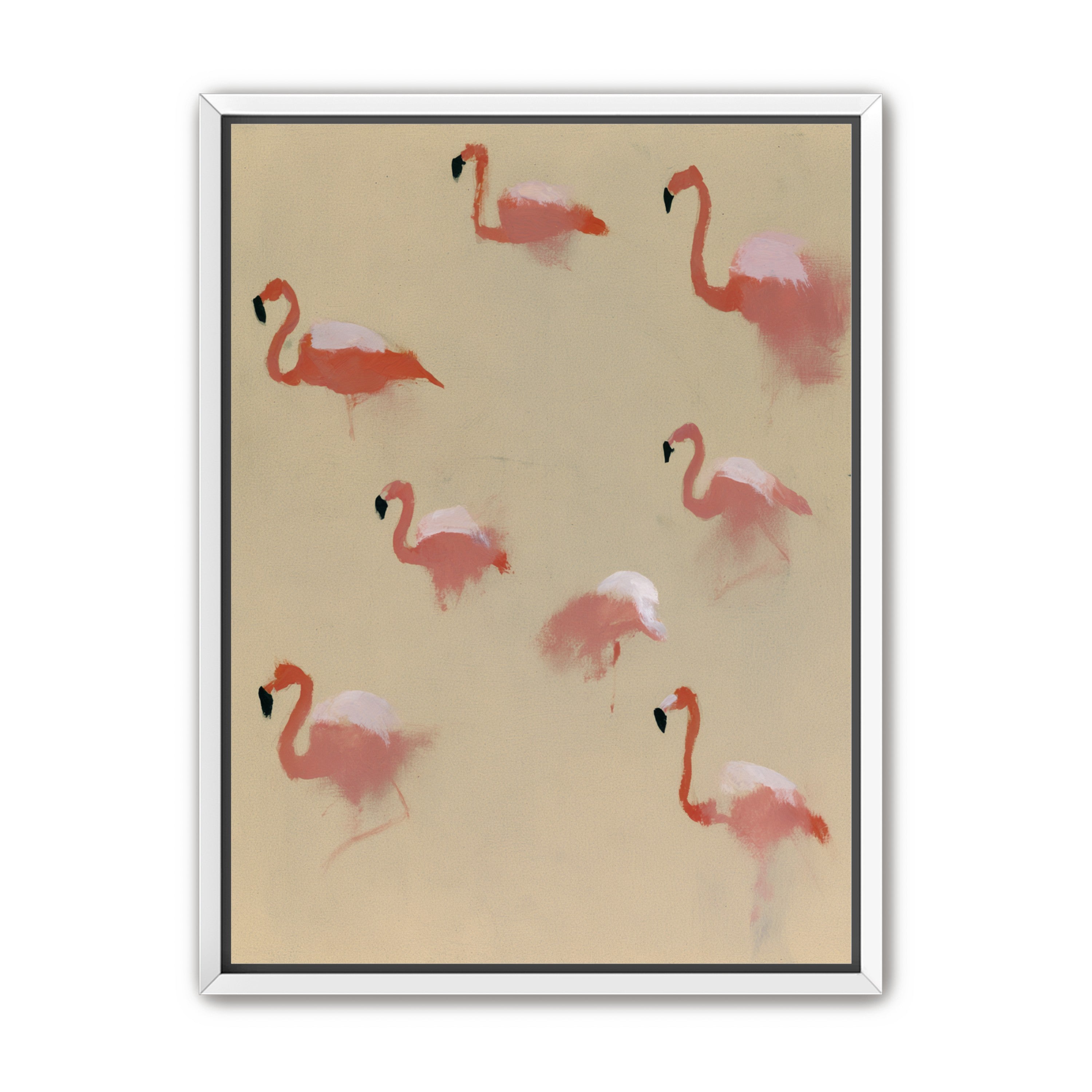 Flamingos in quiet drift
