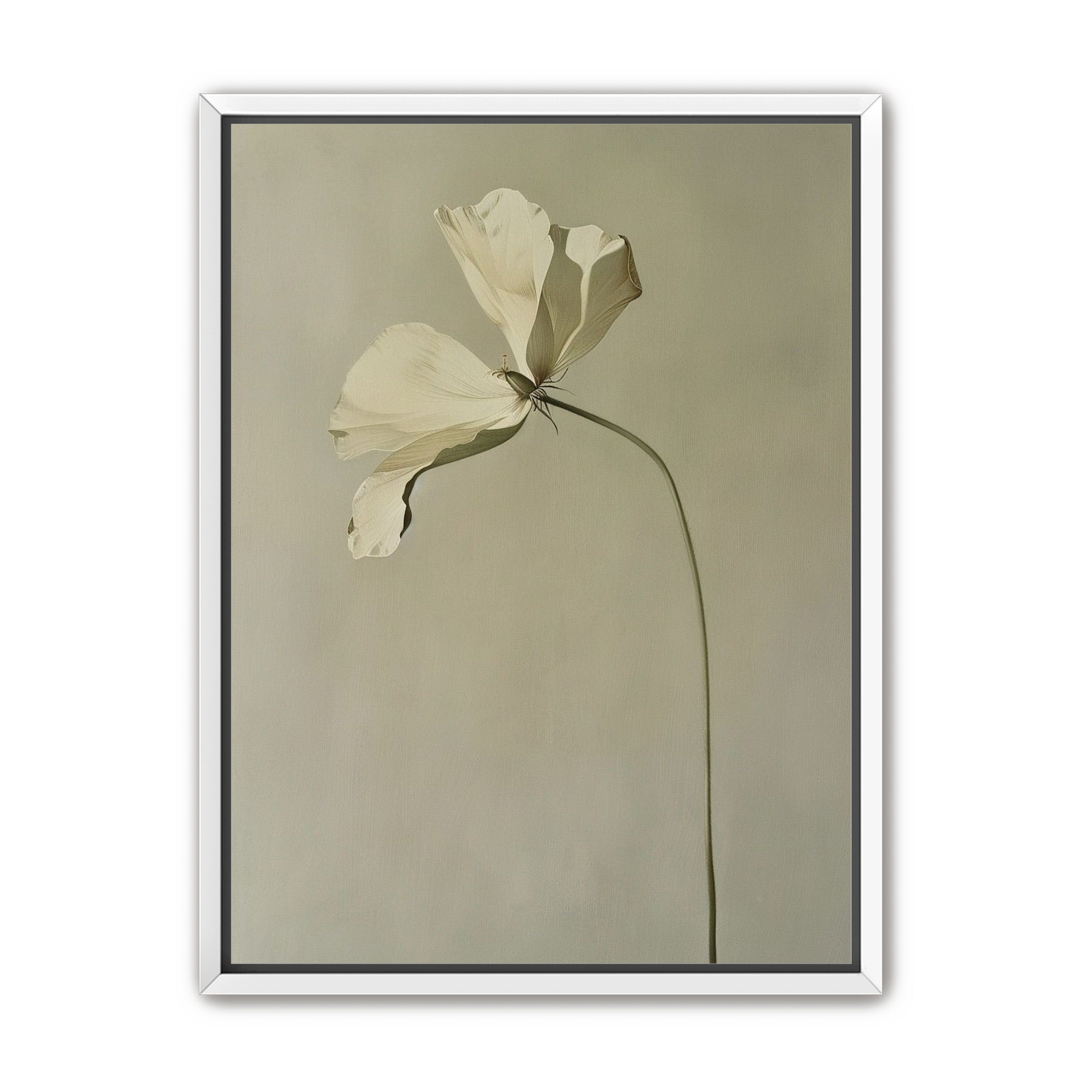 Cream petals in gray green air