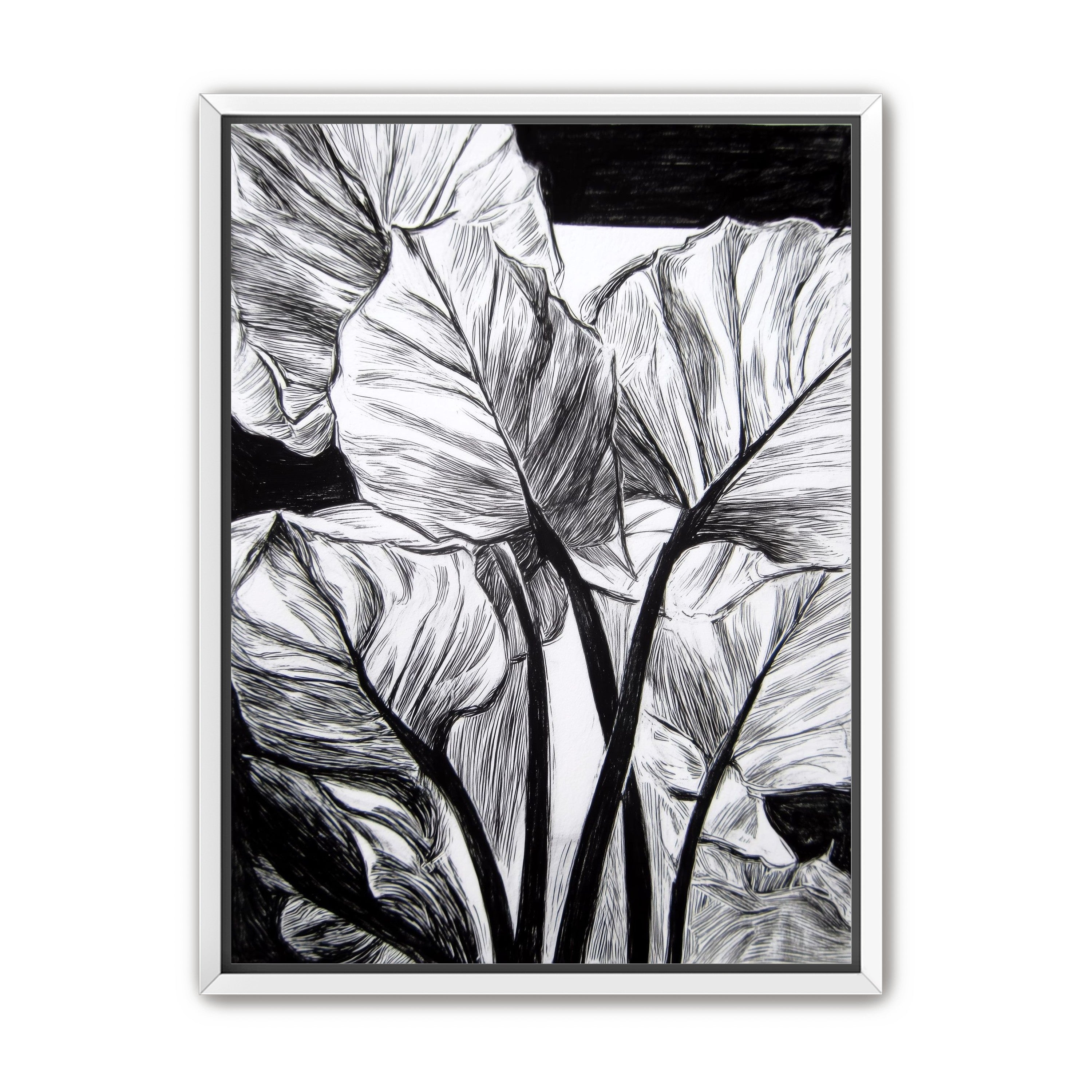 Overlapping Leaves on Dark Ground