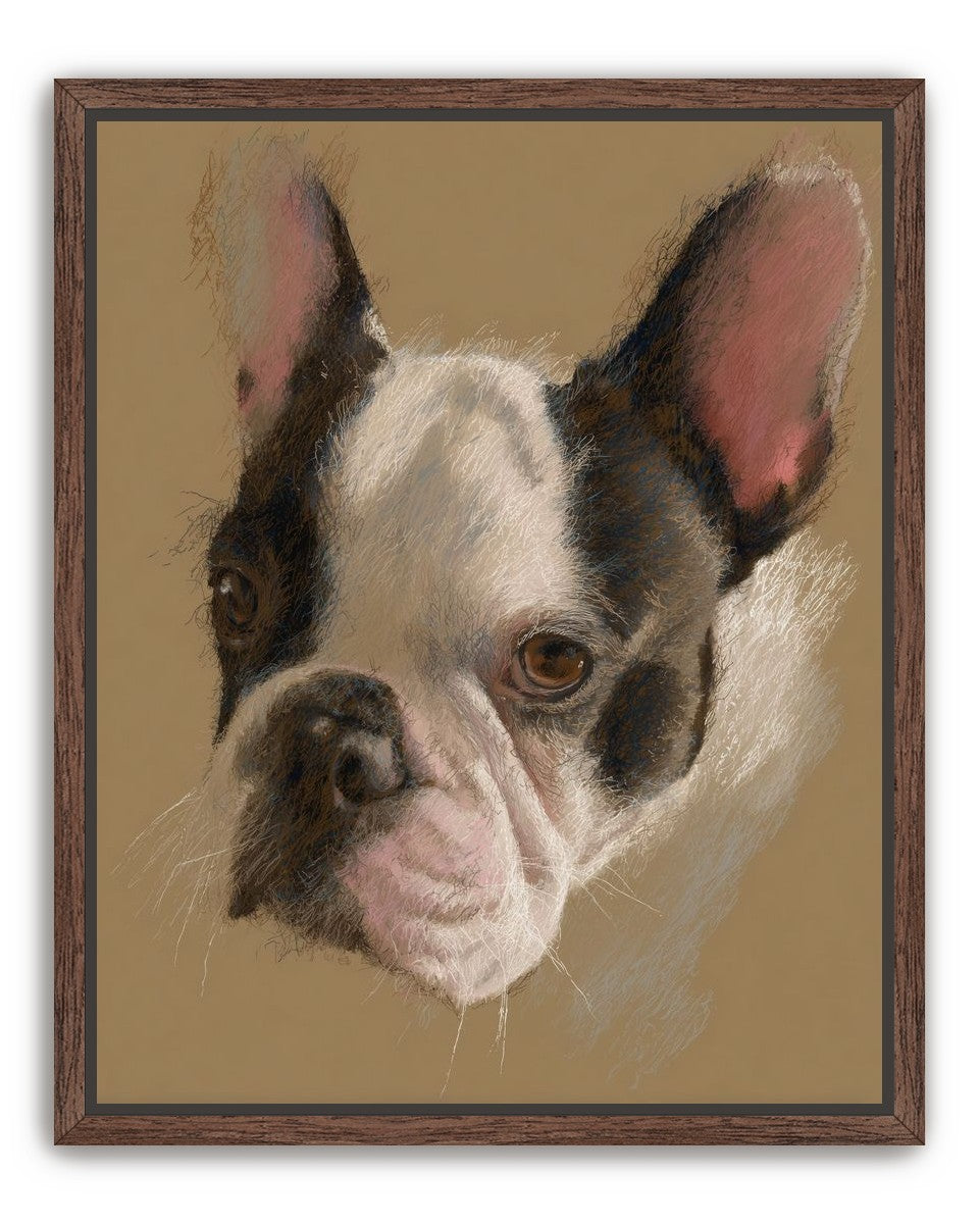 Close portrait with upright ears