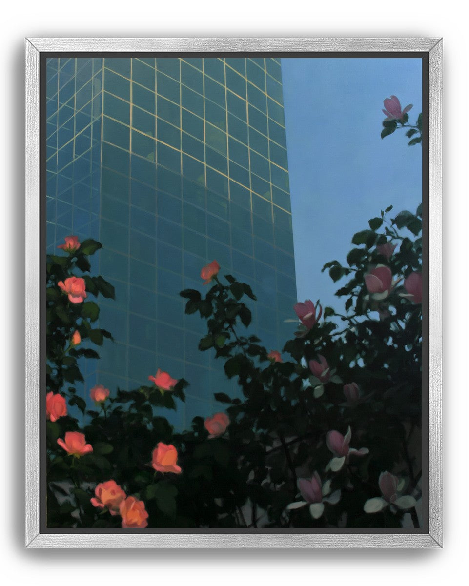 Roses beneath blue towers