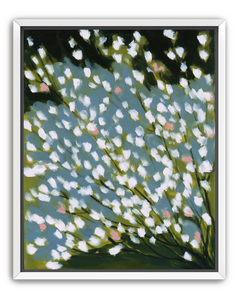 Pink breaks the white field