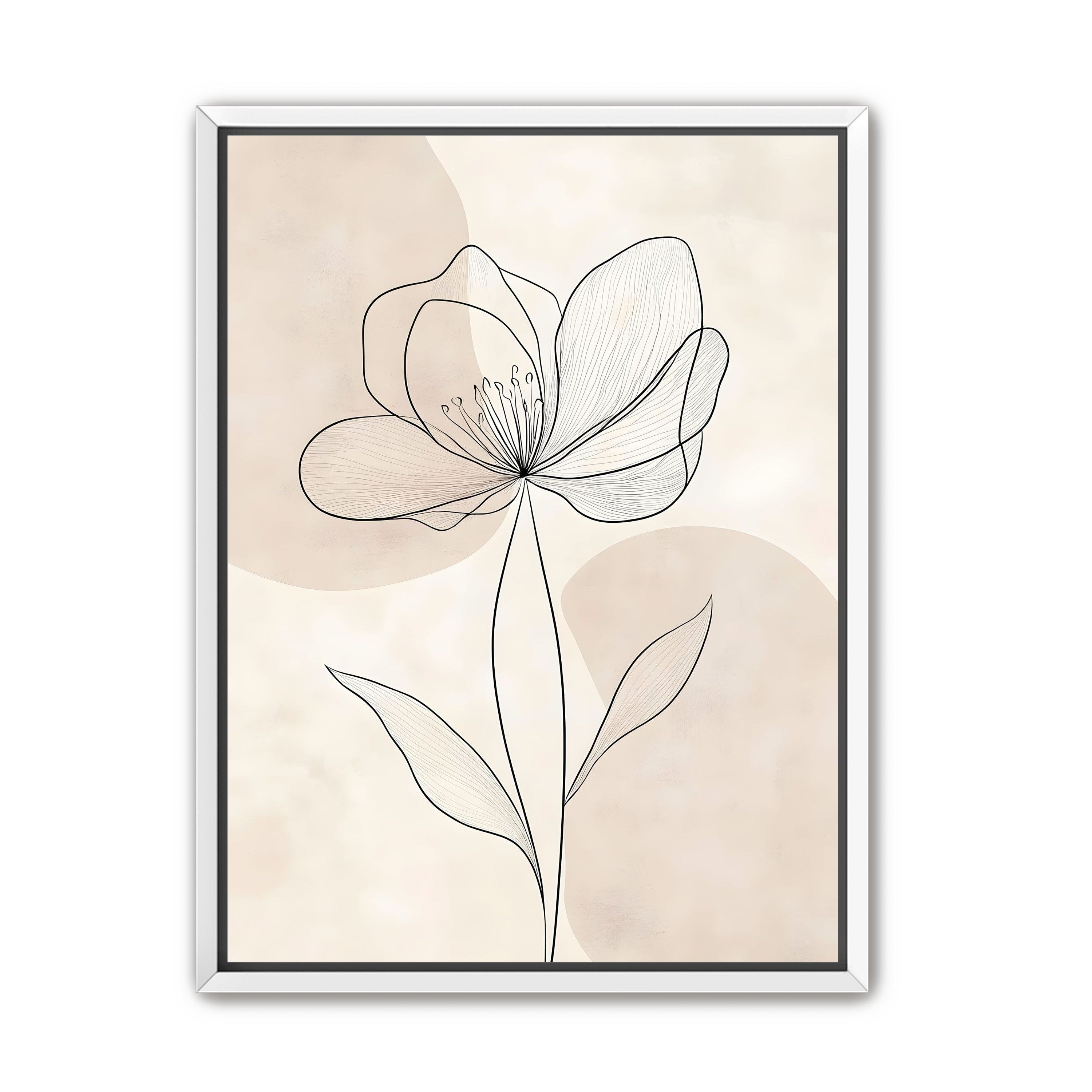 Single Bloom