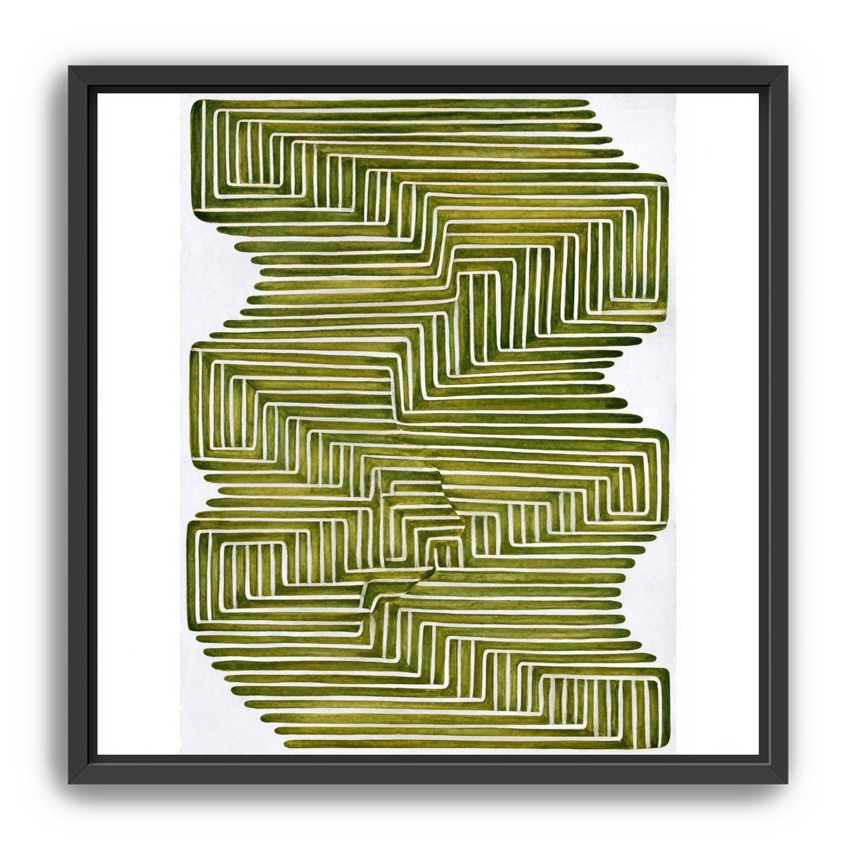 Olive bands in white quiet