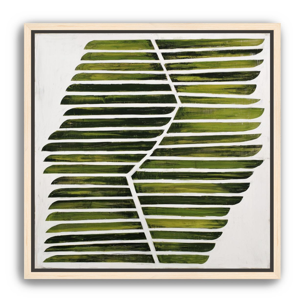 Leaf ribs around a white vein