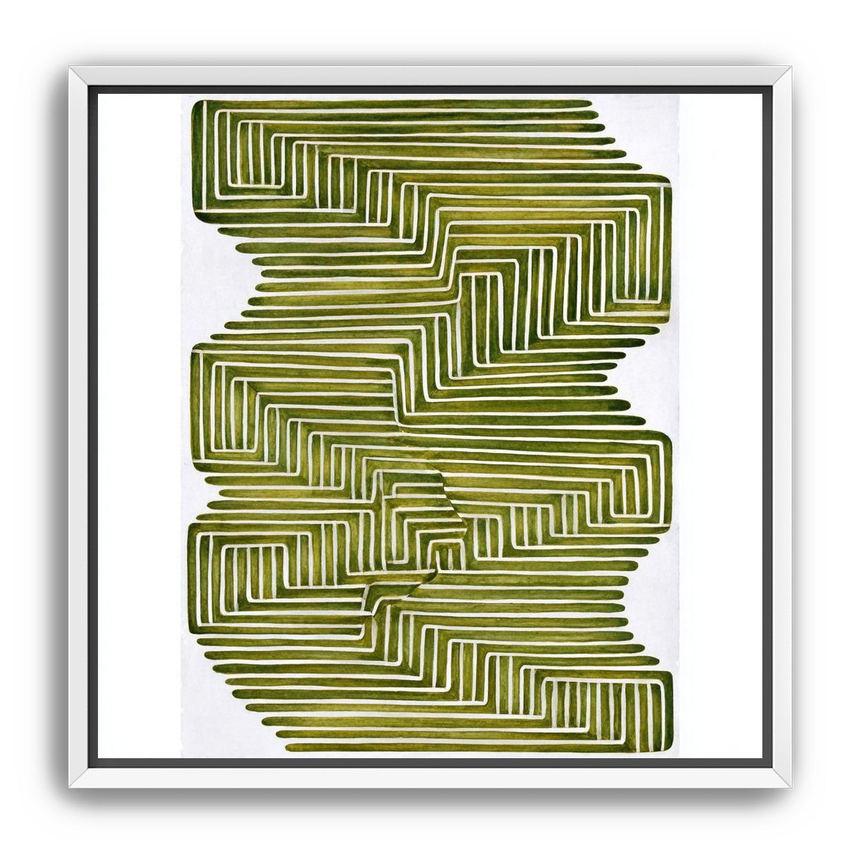 Olive bands in white quiet