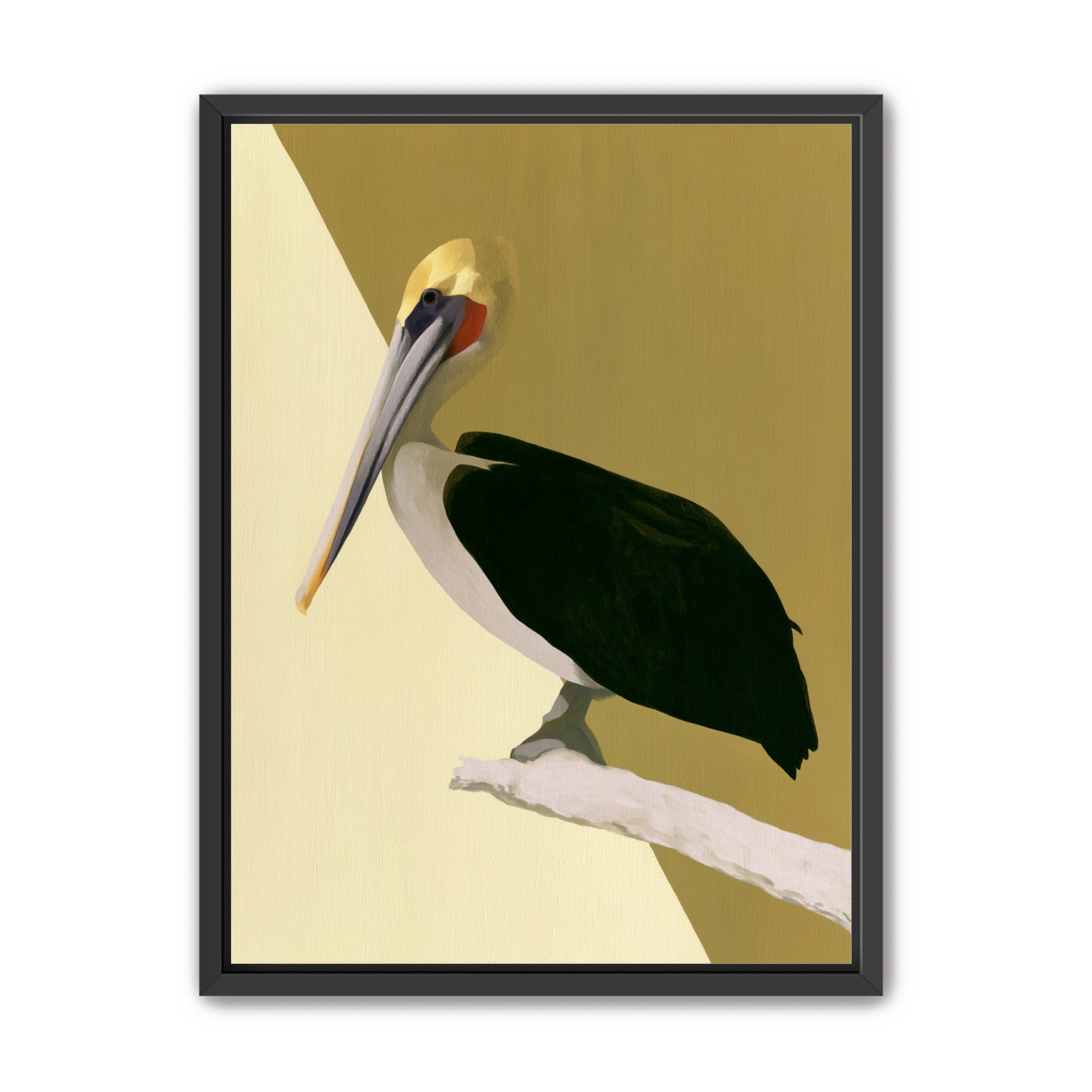Pelican in quiet balance