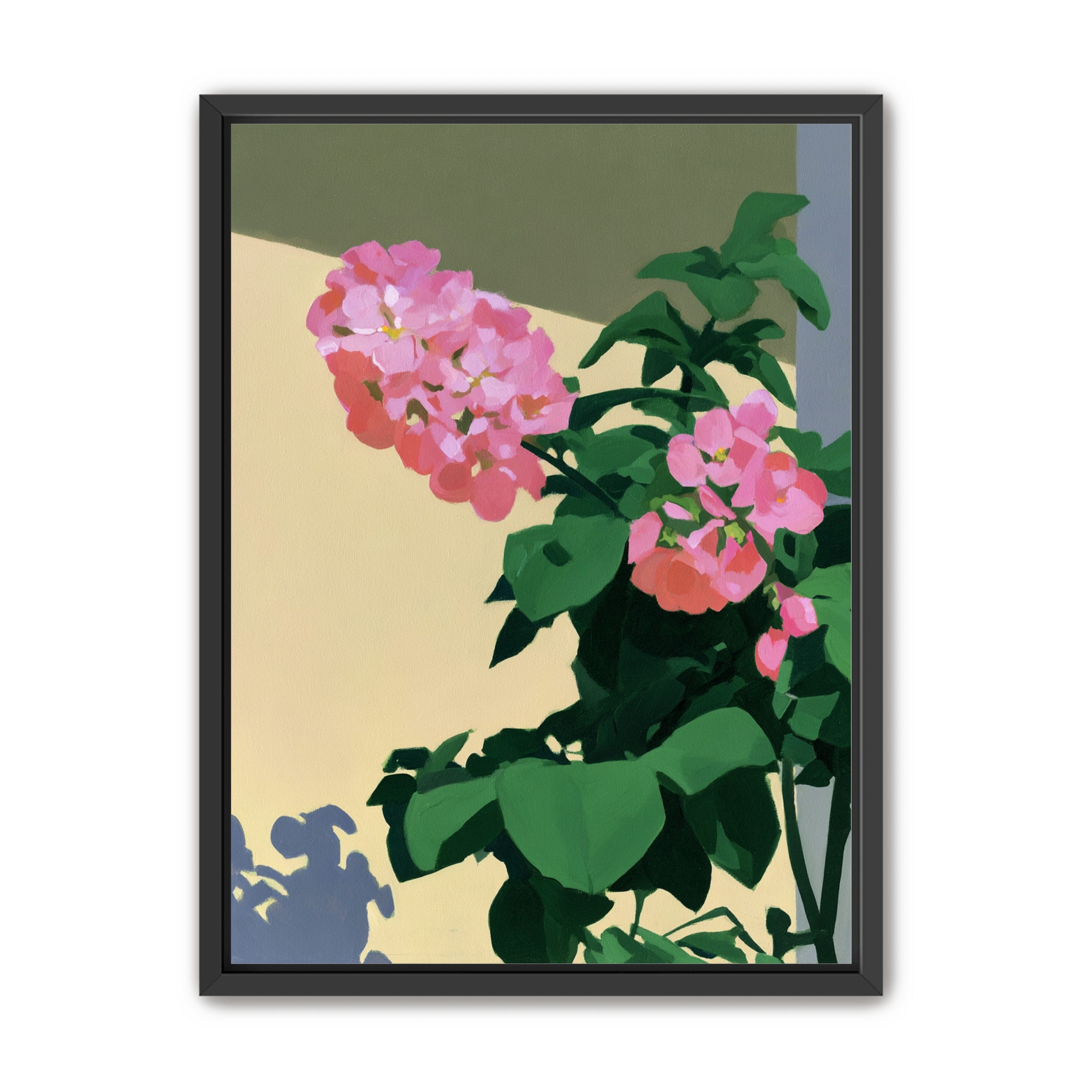 Pink blooms in hard light