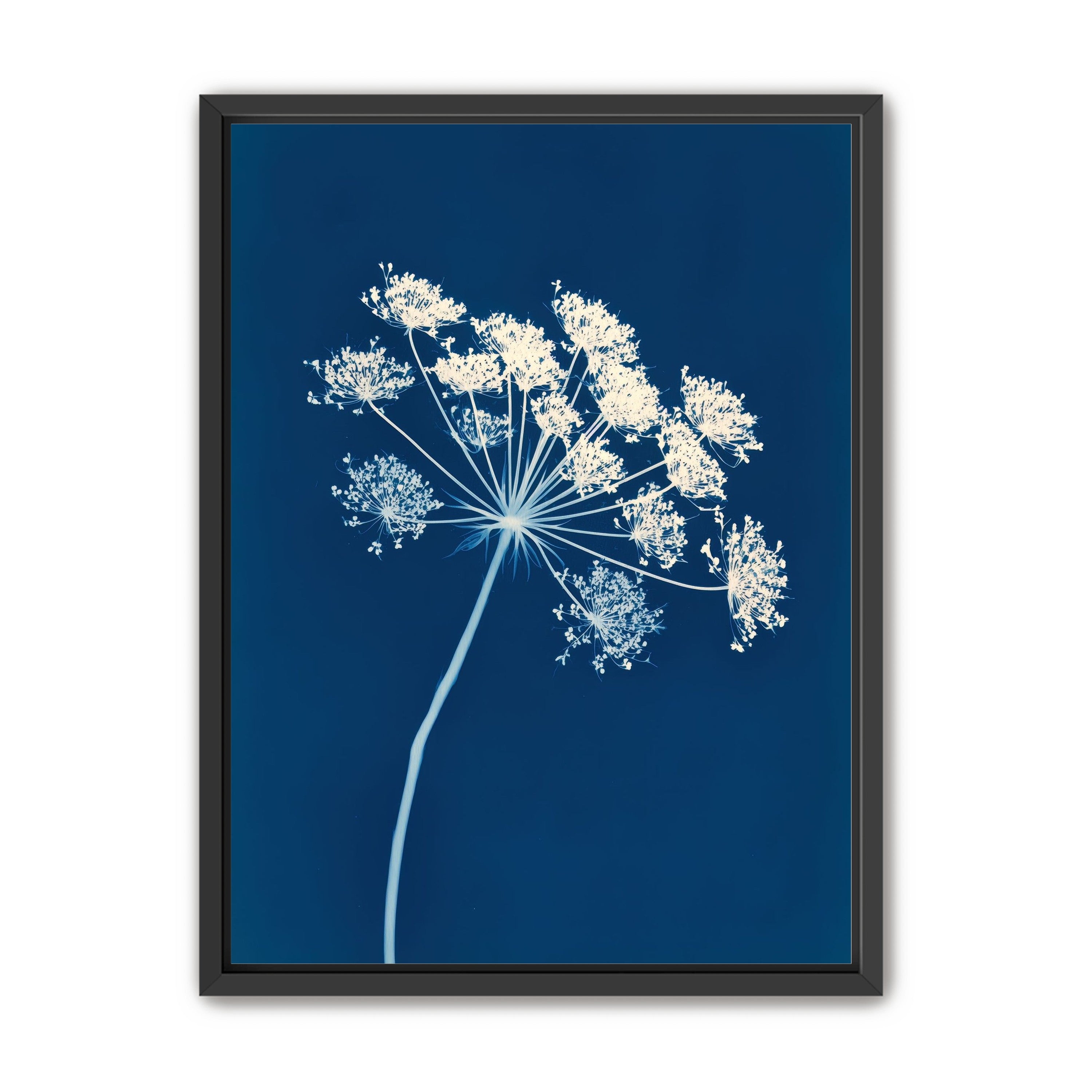 Midnight Bloom