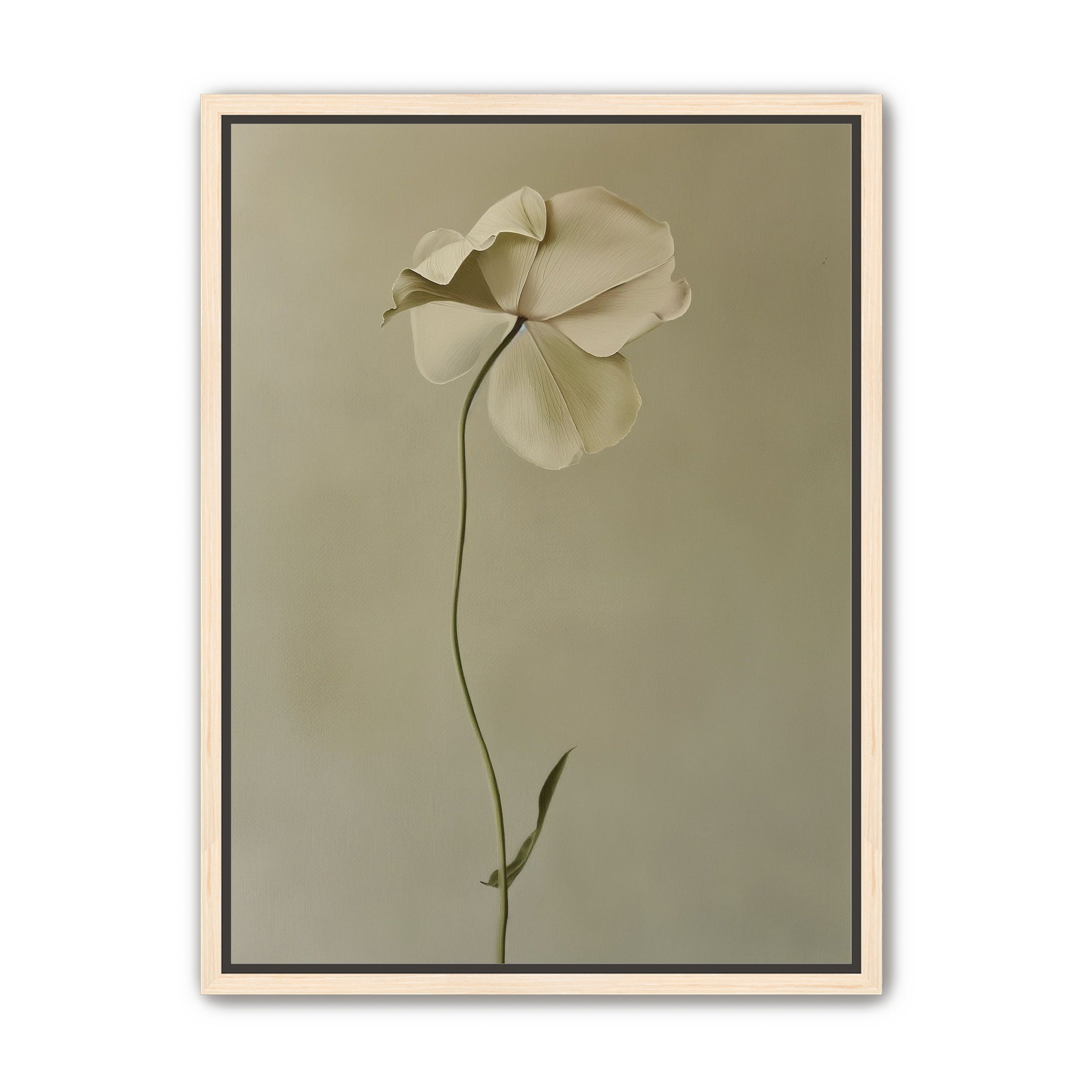 One flower leaning into quiet
