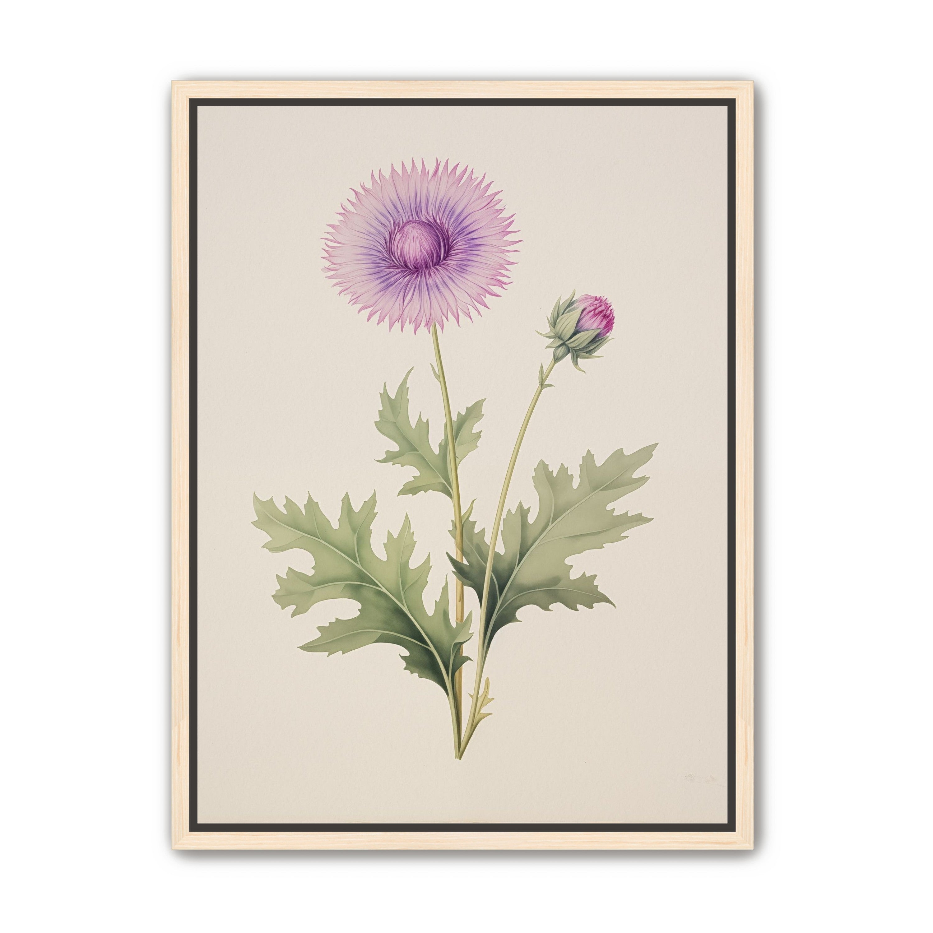 Lavender Radiance