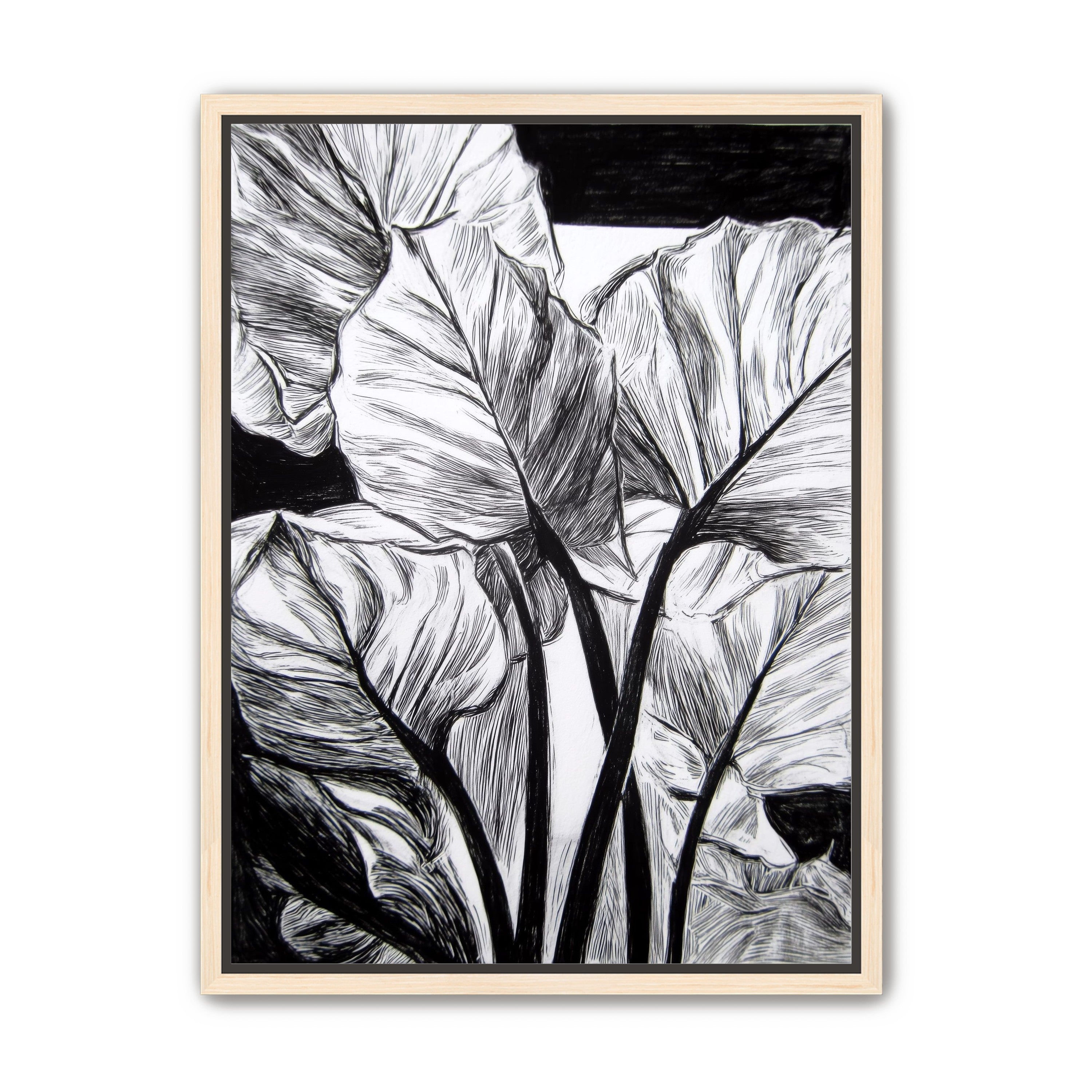 Overlapping Leaves on Dark Ground