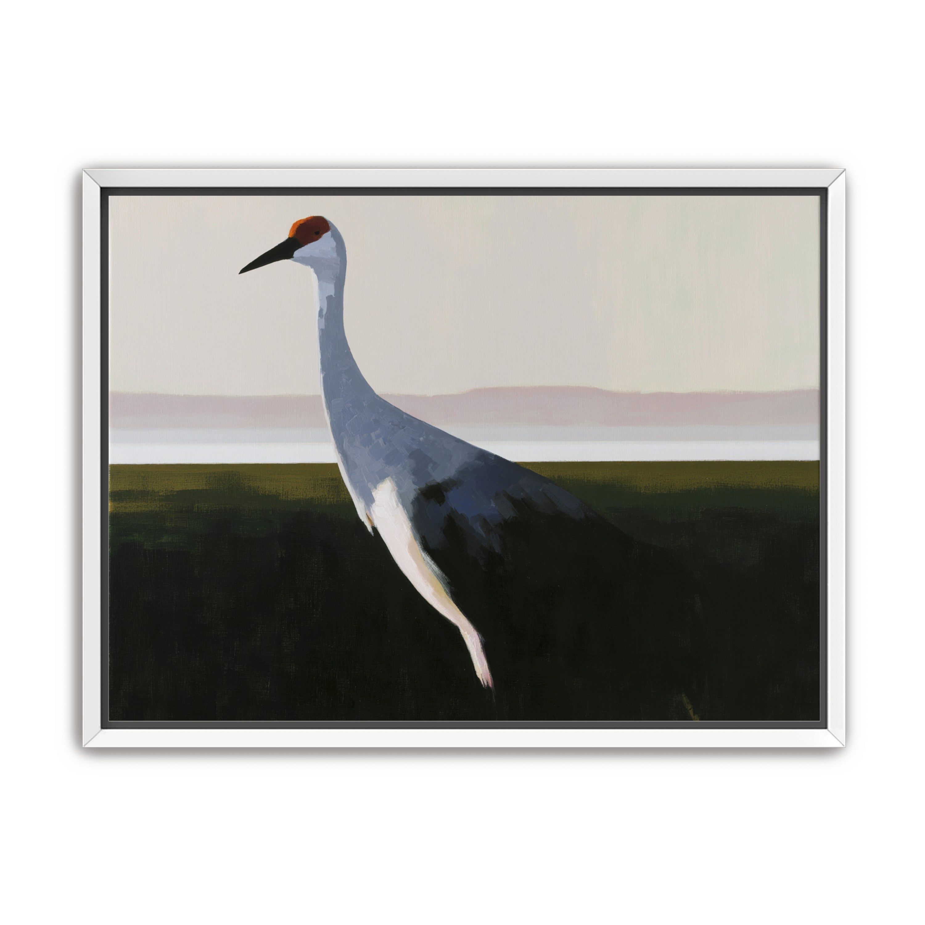 Crane with a red crown