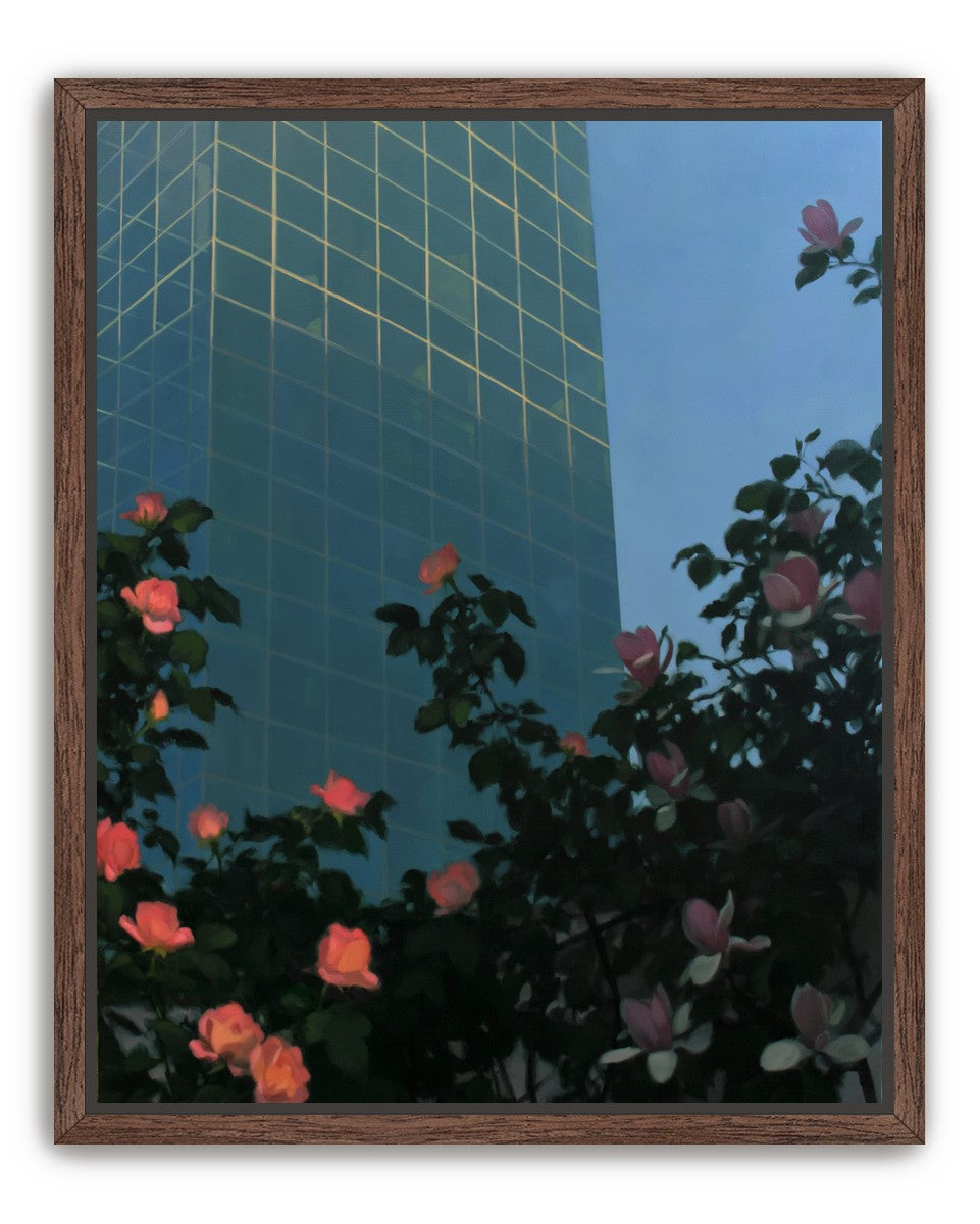 Roses beneath blue towers