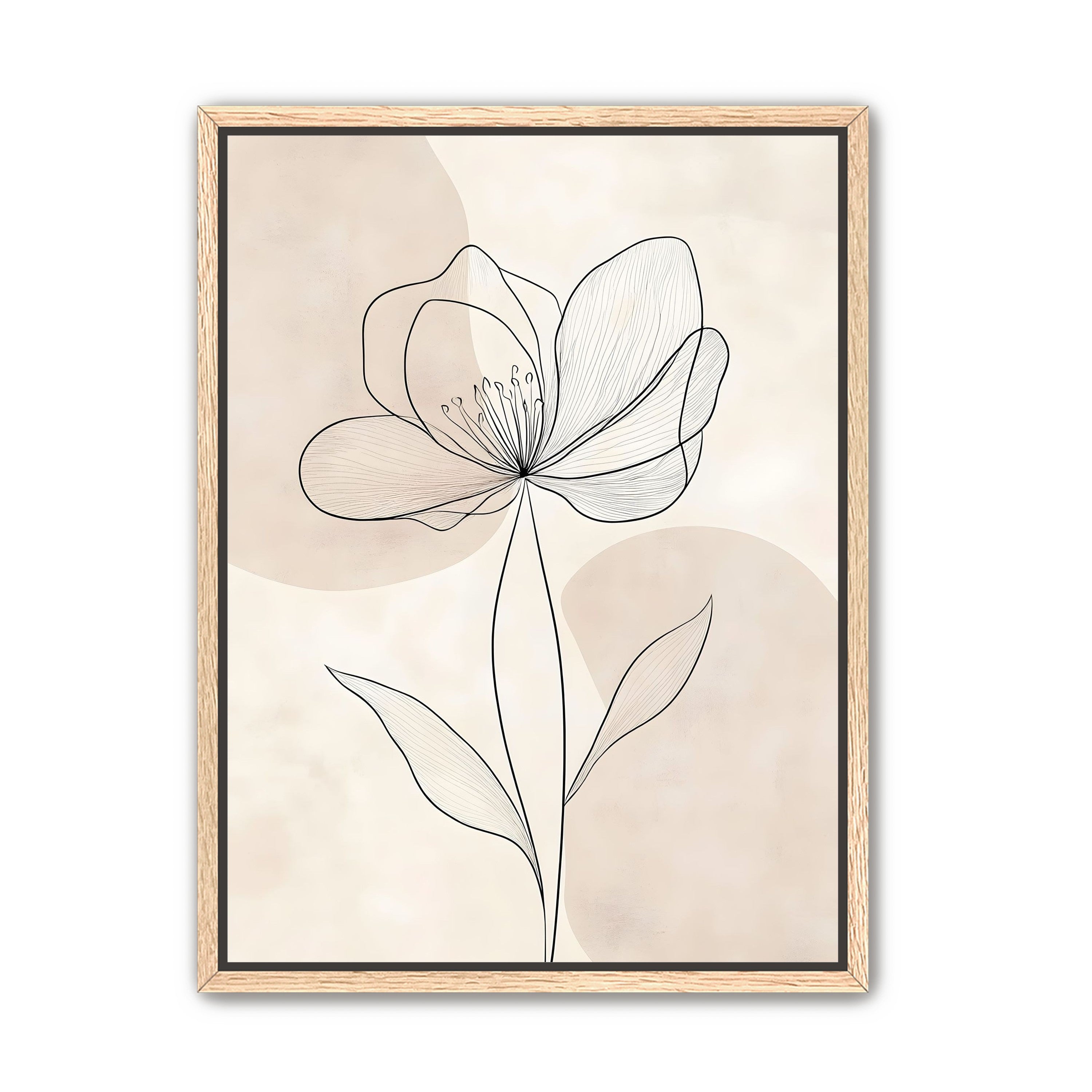 Single Bloom