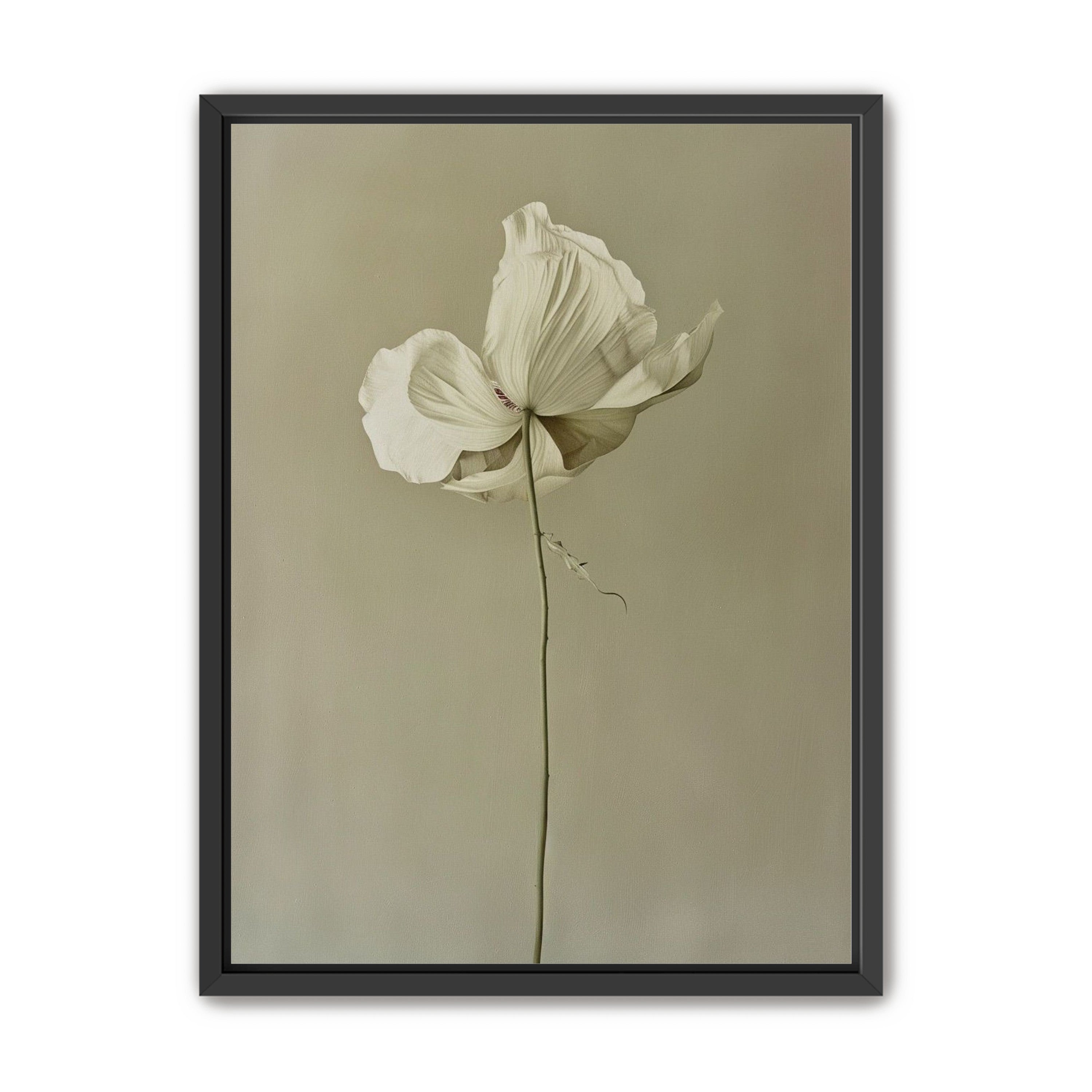 Ivory bloom in gray air