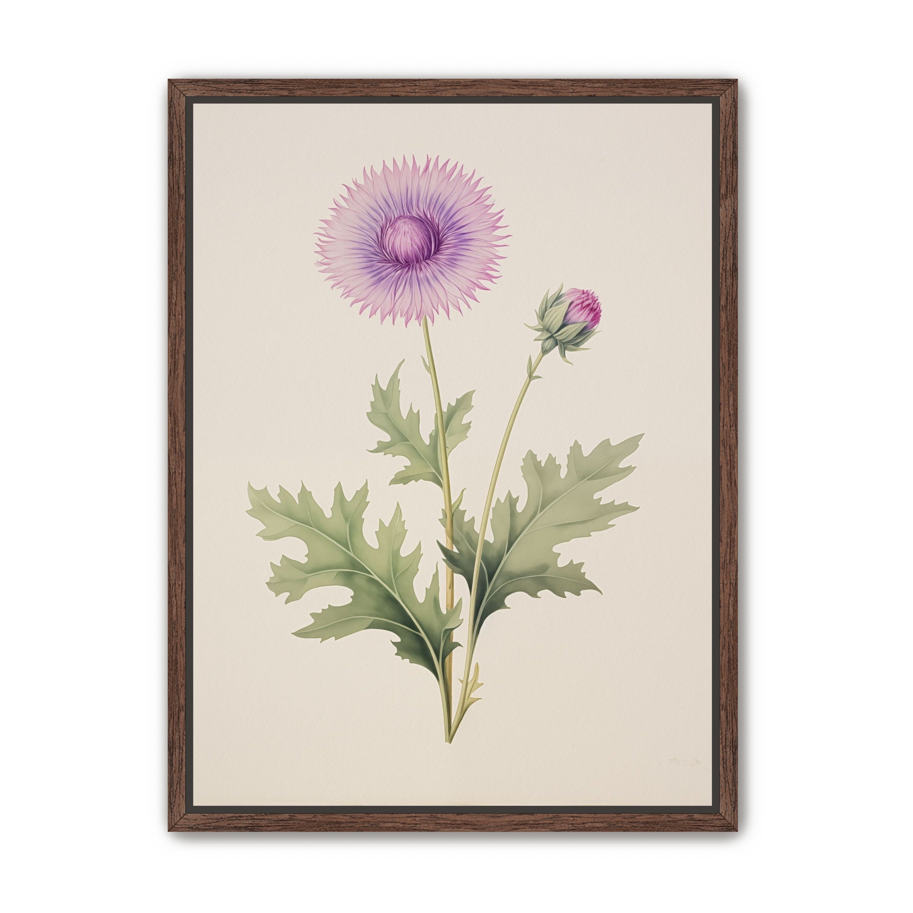 Lavender Radiance