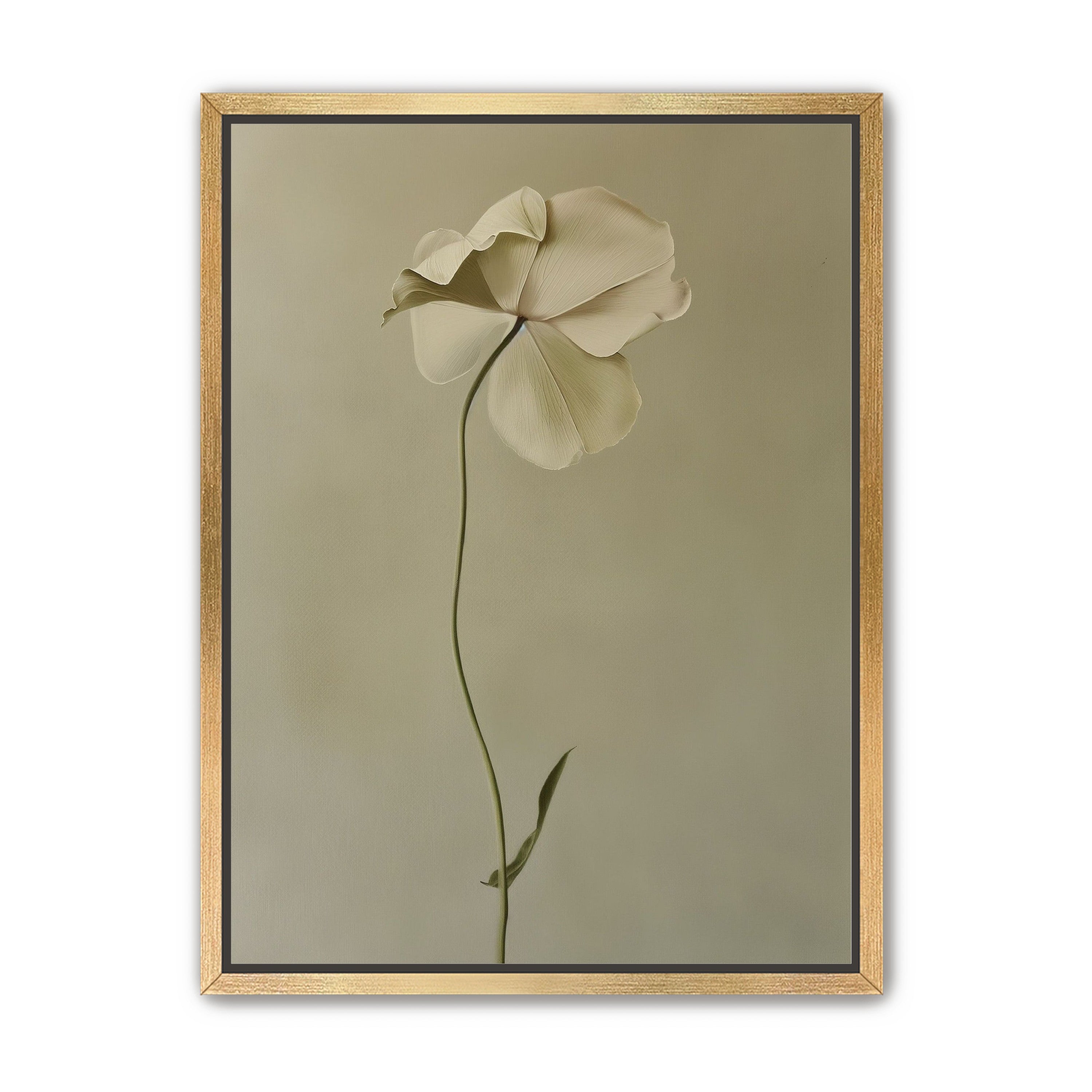 One flower leaning into quiet