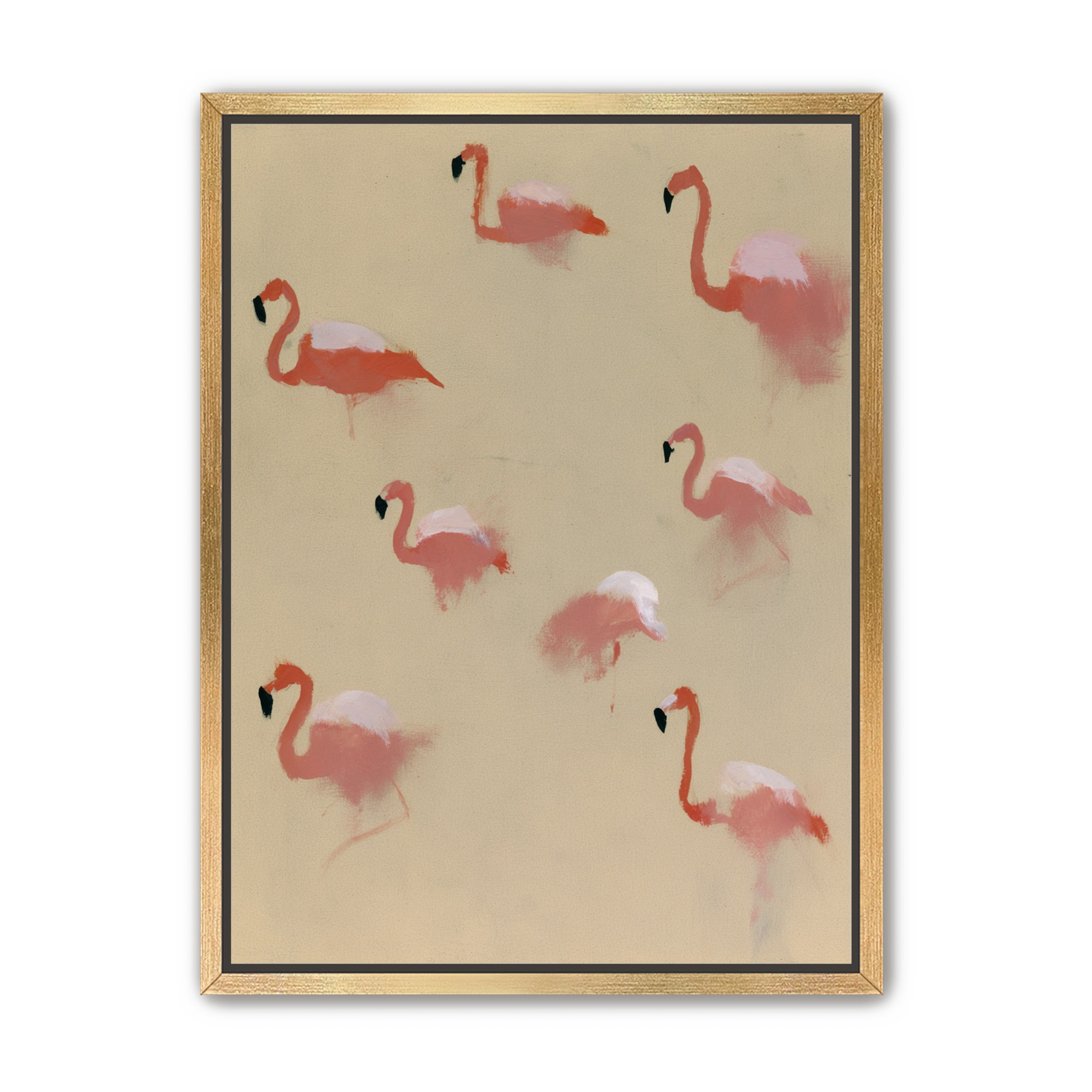 Flamingos in quiet drift
