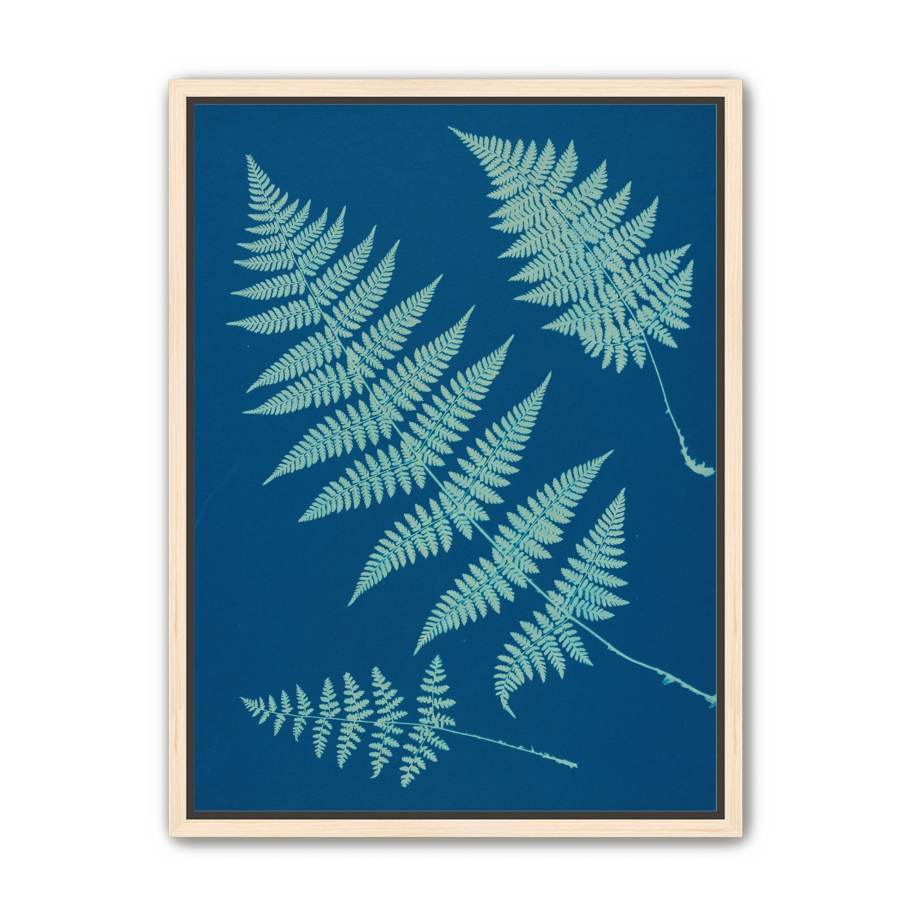 Pale ferns in deep blue