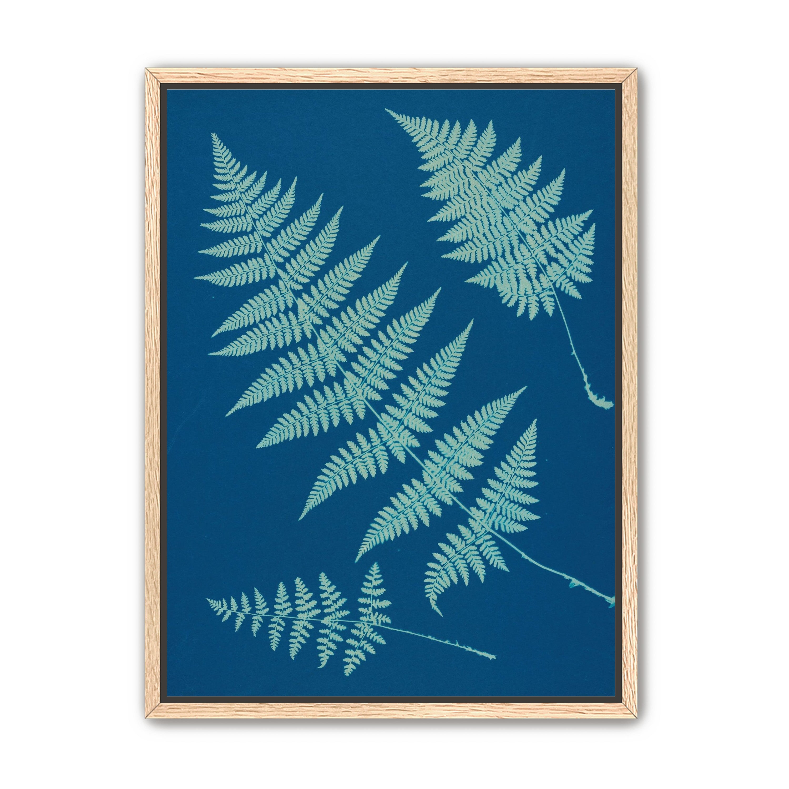 Pale ferns in deep blue