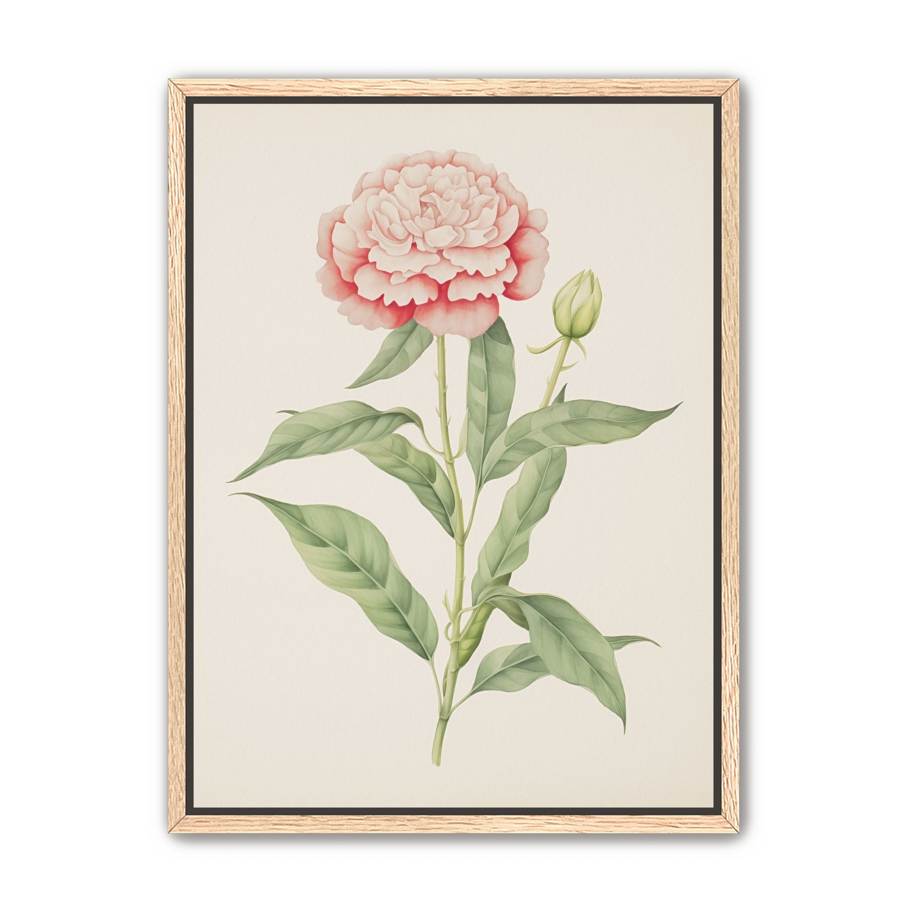 Delicate Blush