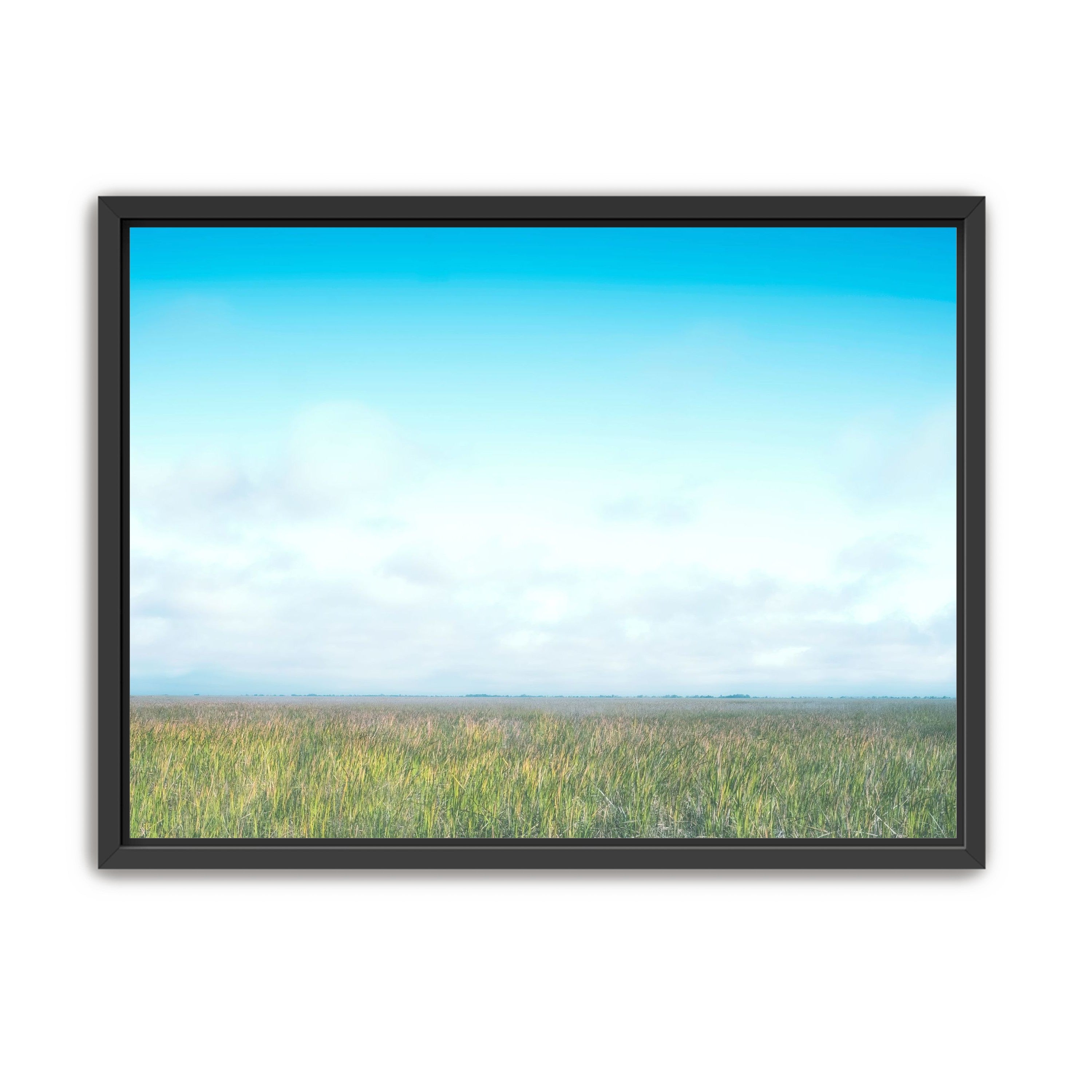 Grasslands