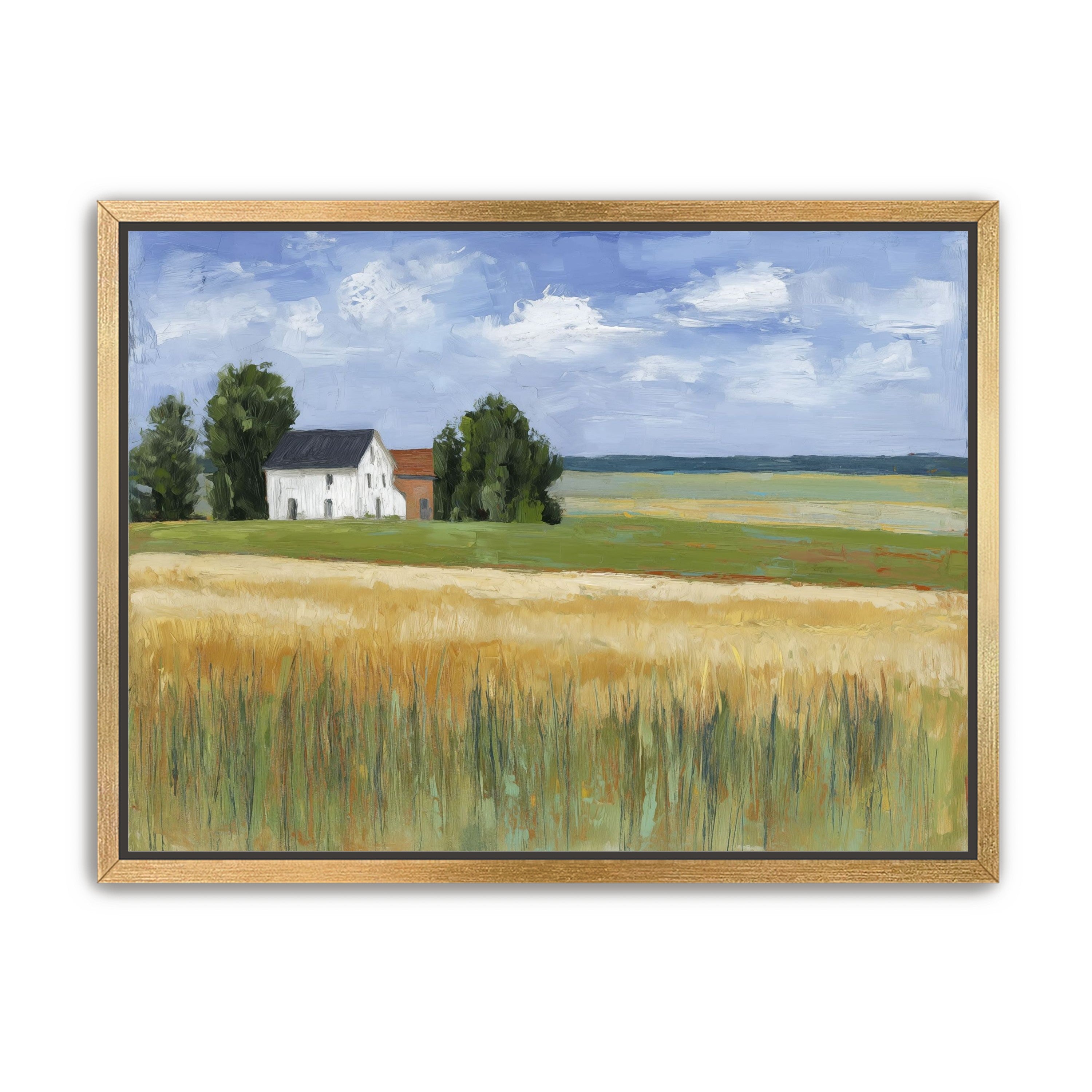 Grain Field Under Sun