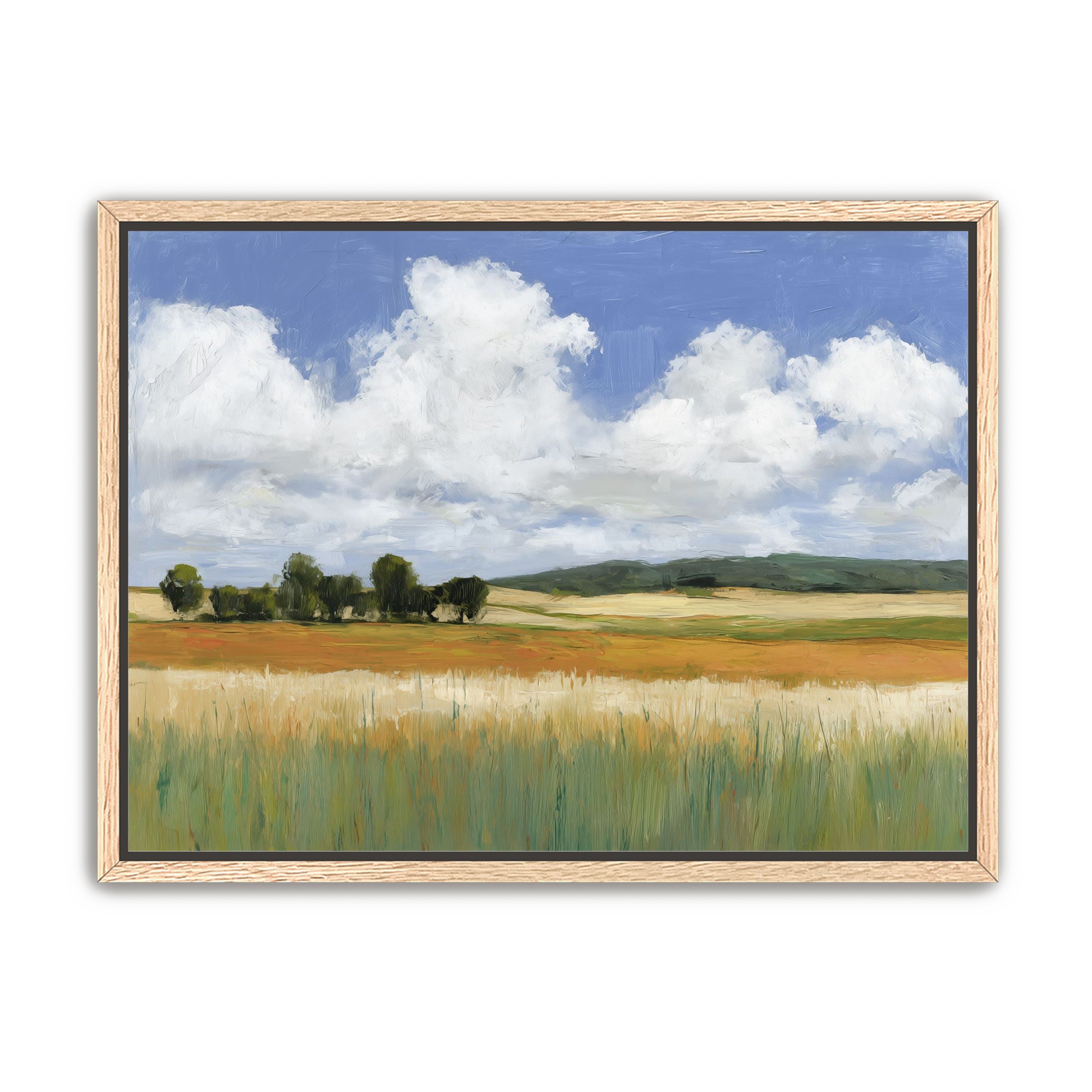 Meadow Under Clouds
