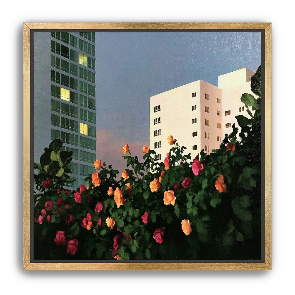 Roses below lit windows